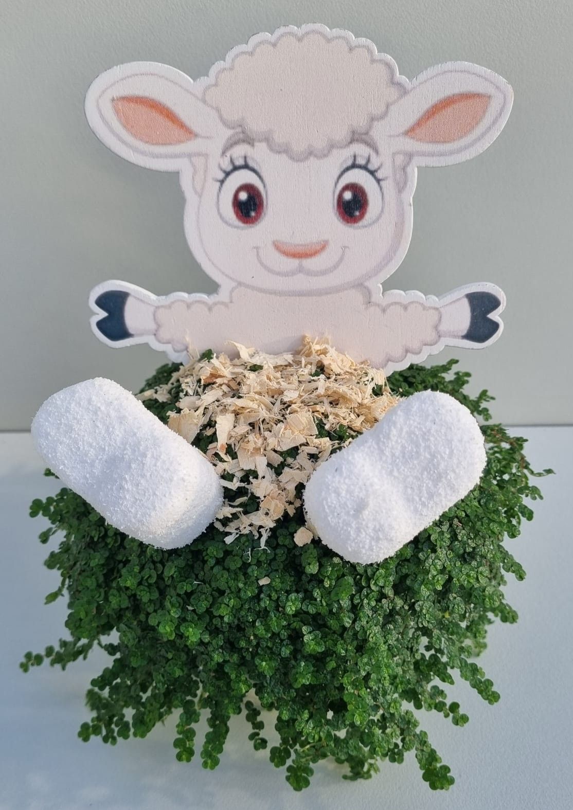 P44 lammetje met snippers, D 11