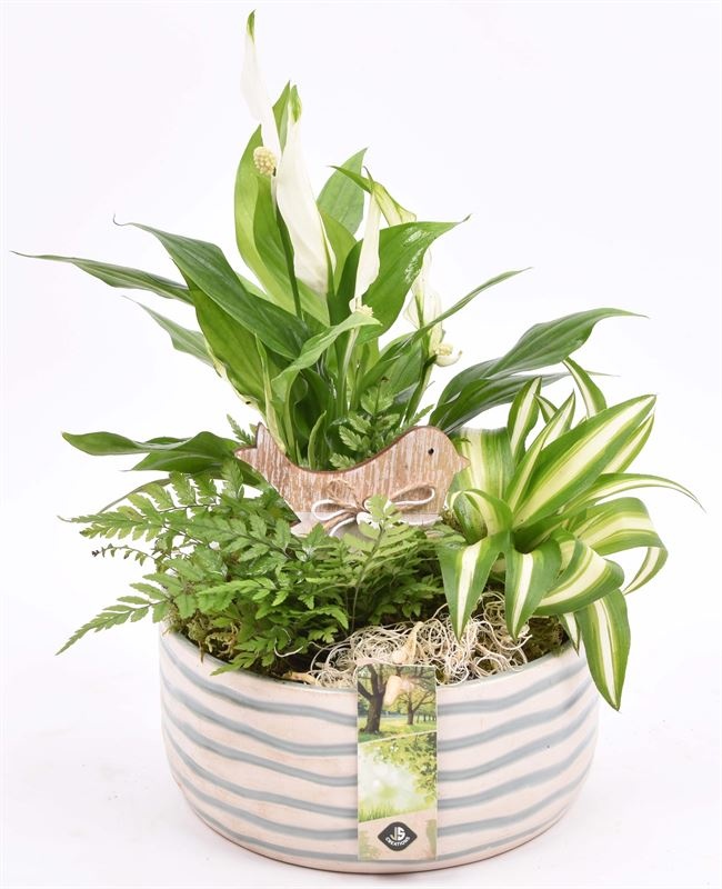 Keramiek schaal golf 18cm, D 18