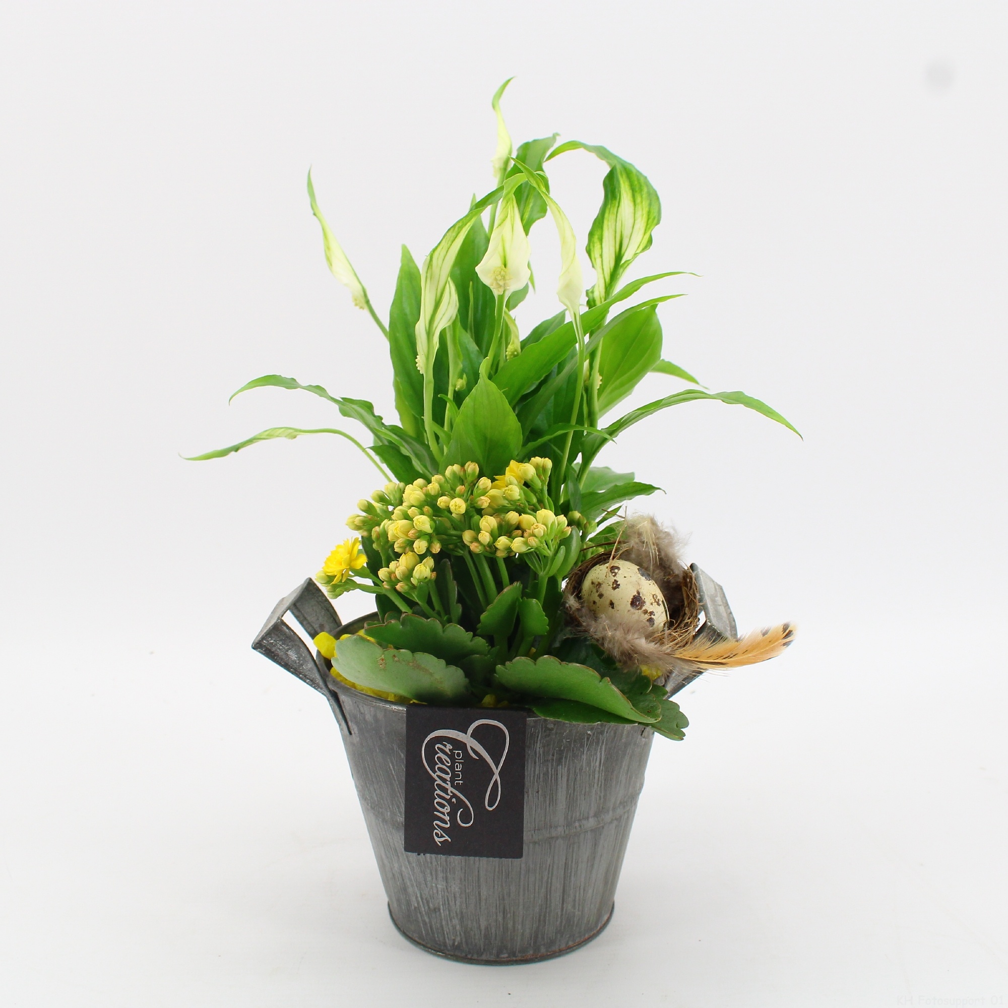 FDPS-2613 Easter Fundamentals, D 14