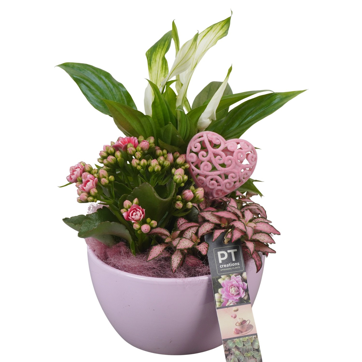 PTVMB2213 Arrangement Valentines-Mothersday in keramiek schaal, D 16