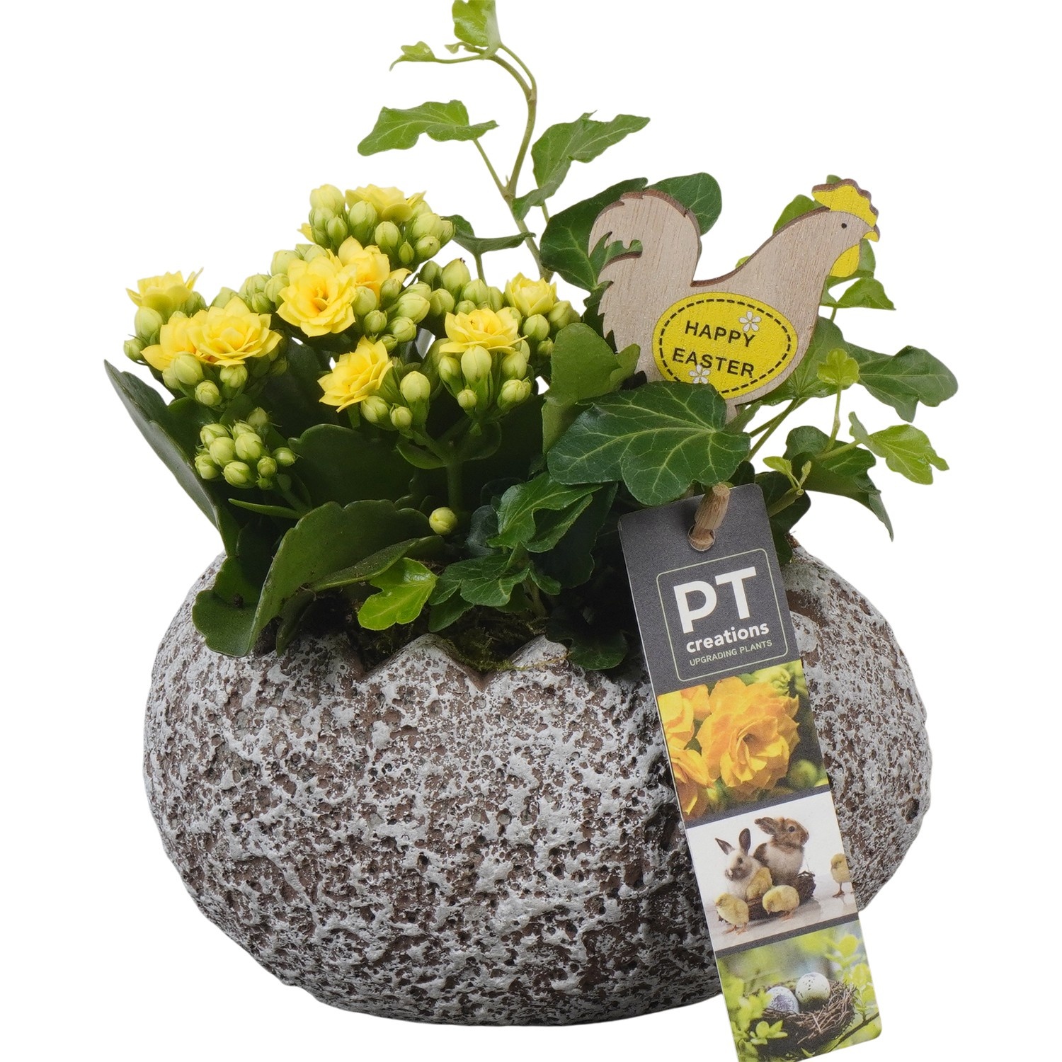 PTPB6614 Arrangement Easter in beton ei, D 16