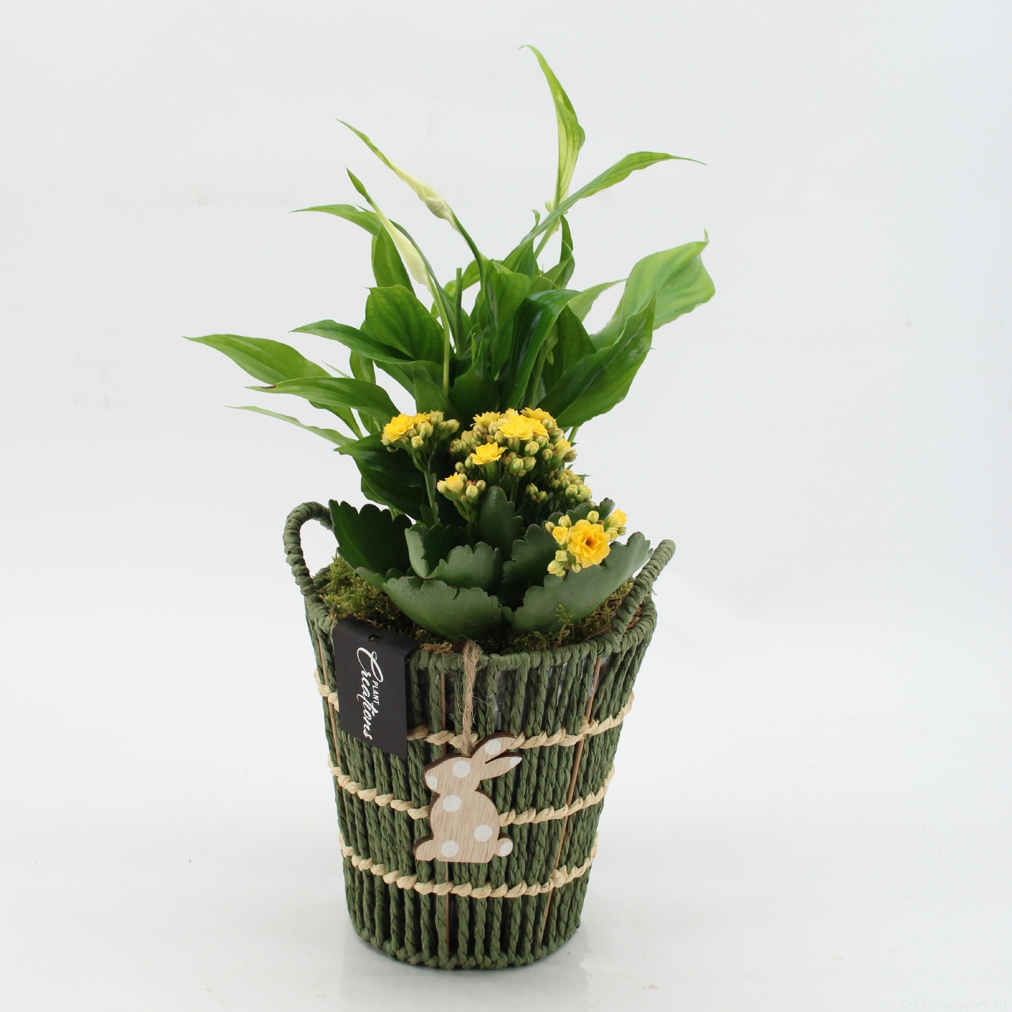 PSCR-2605G Easter Essentials, D 16