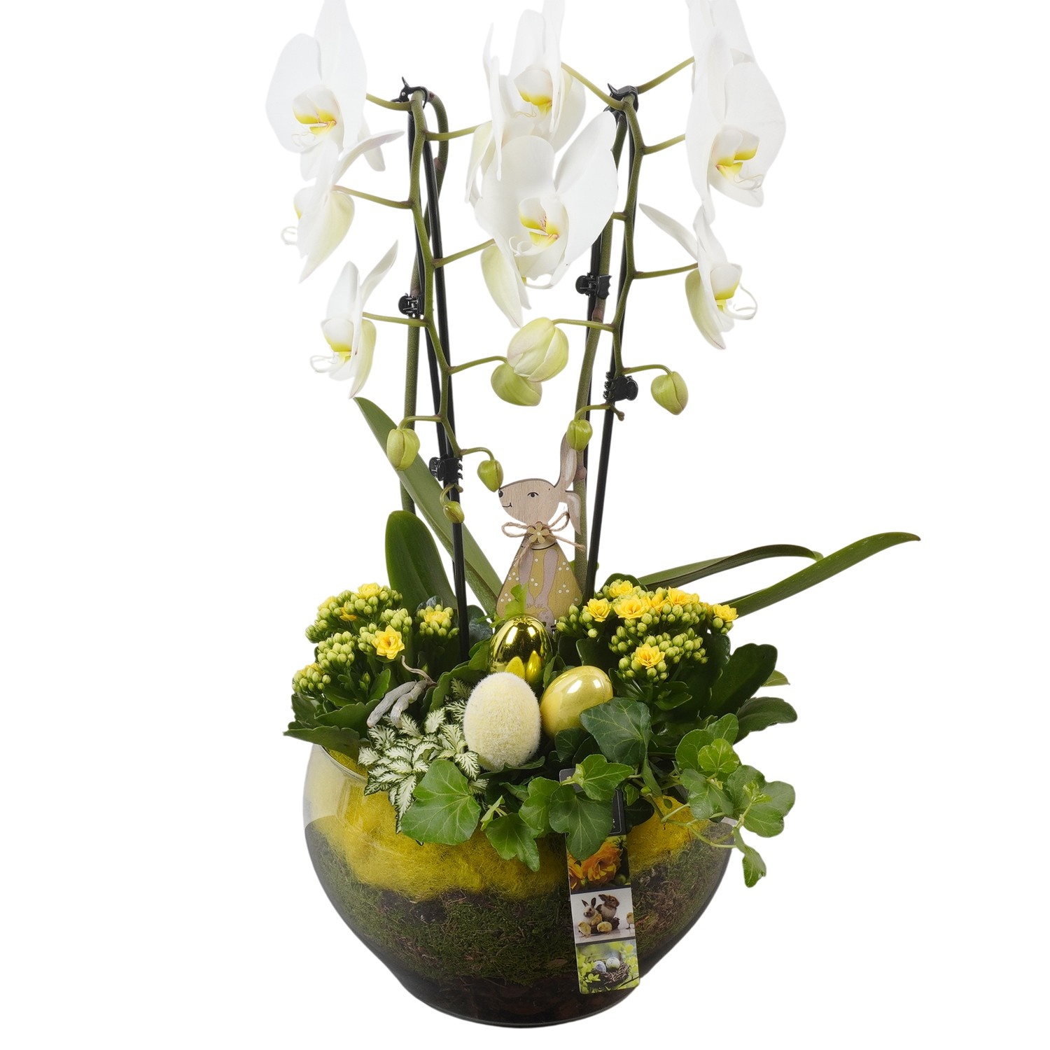 PTPG9410 Arrangement Easter in glasschaal, D 23