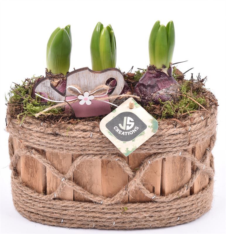 Hout ovaal met touw 21x11.5cm, D 21