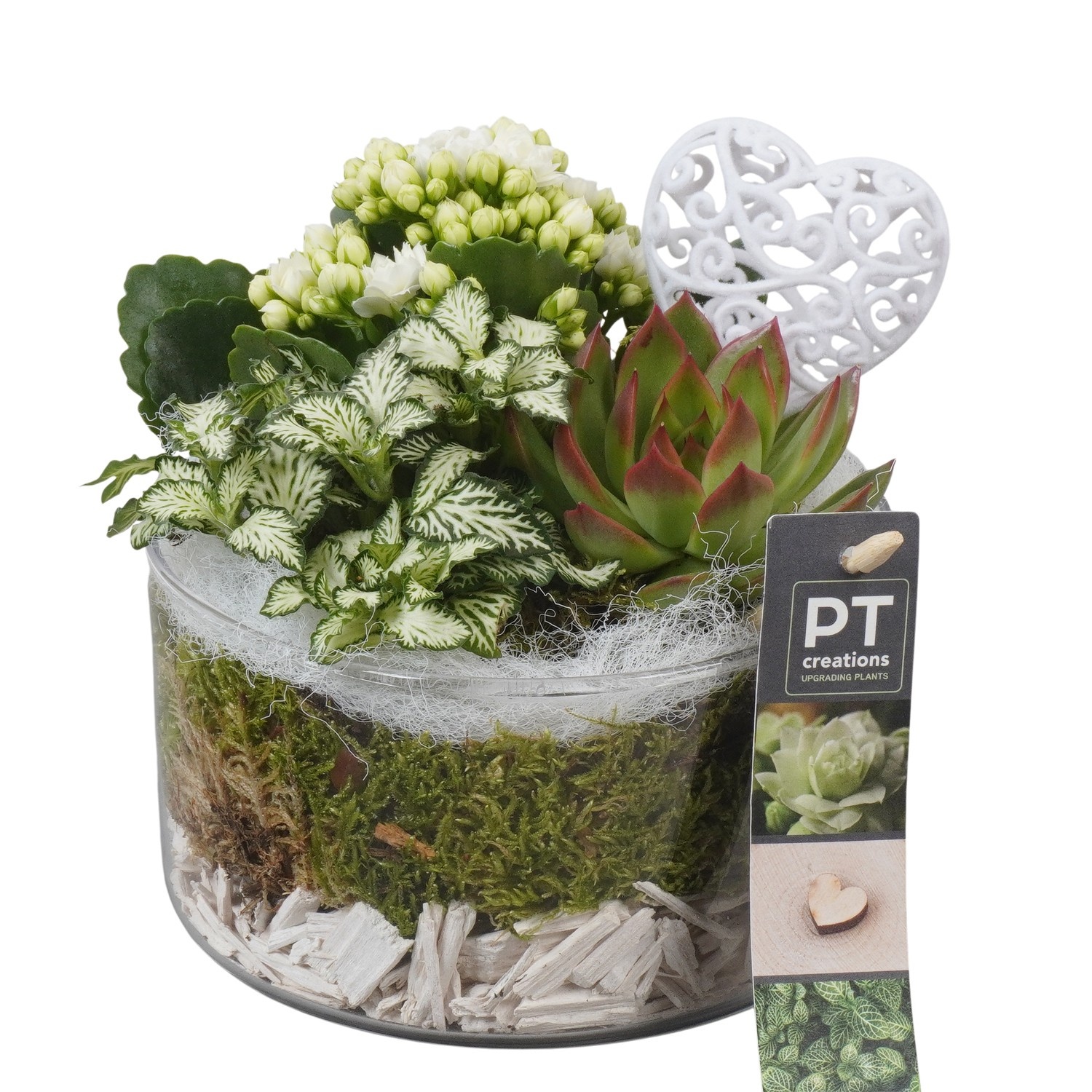 PTVMG4920 Arrangement Valentines-Mothersday in glas schaal, D 14