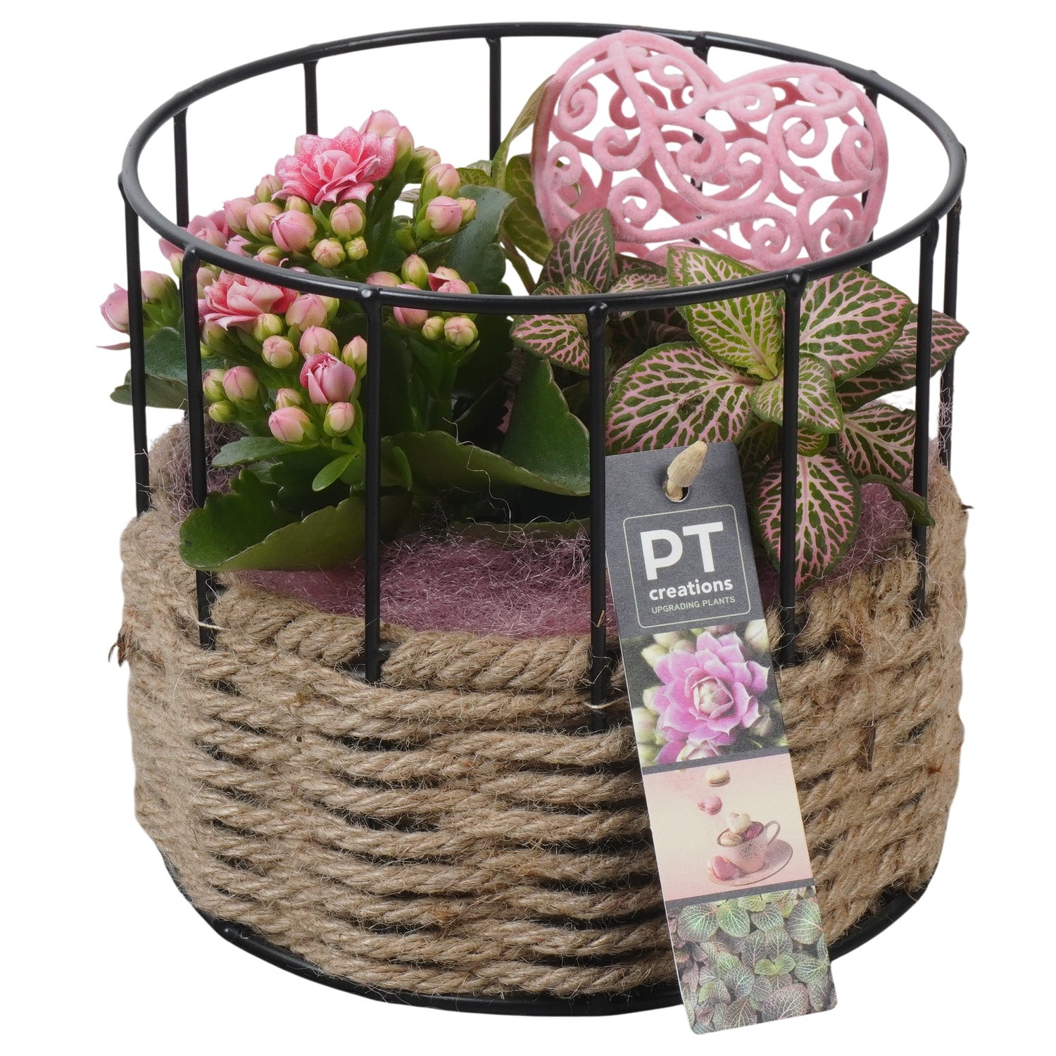 PTVMB2353 Arrangement Valentines-Mothersday in touw pot, D 17