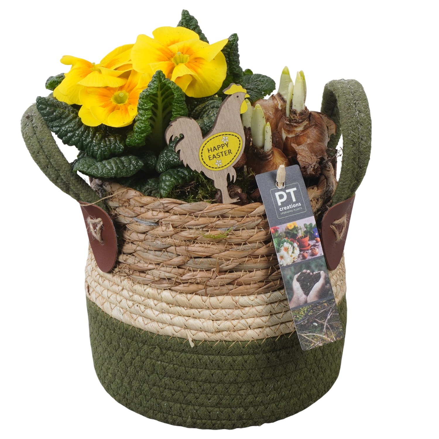 PTBMP5687 Arrangement Easter Bulbs Mix in rieten mand, D 15