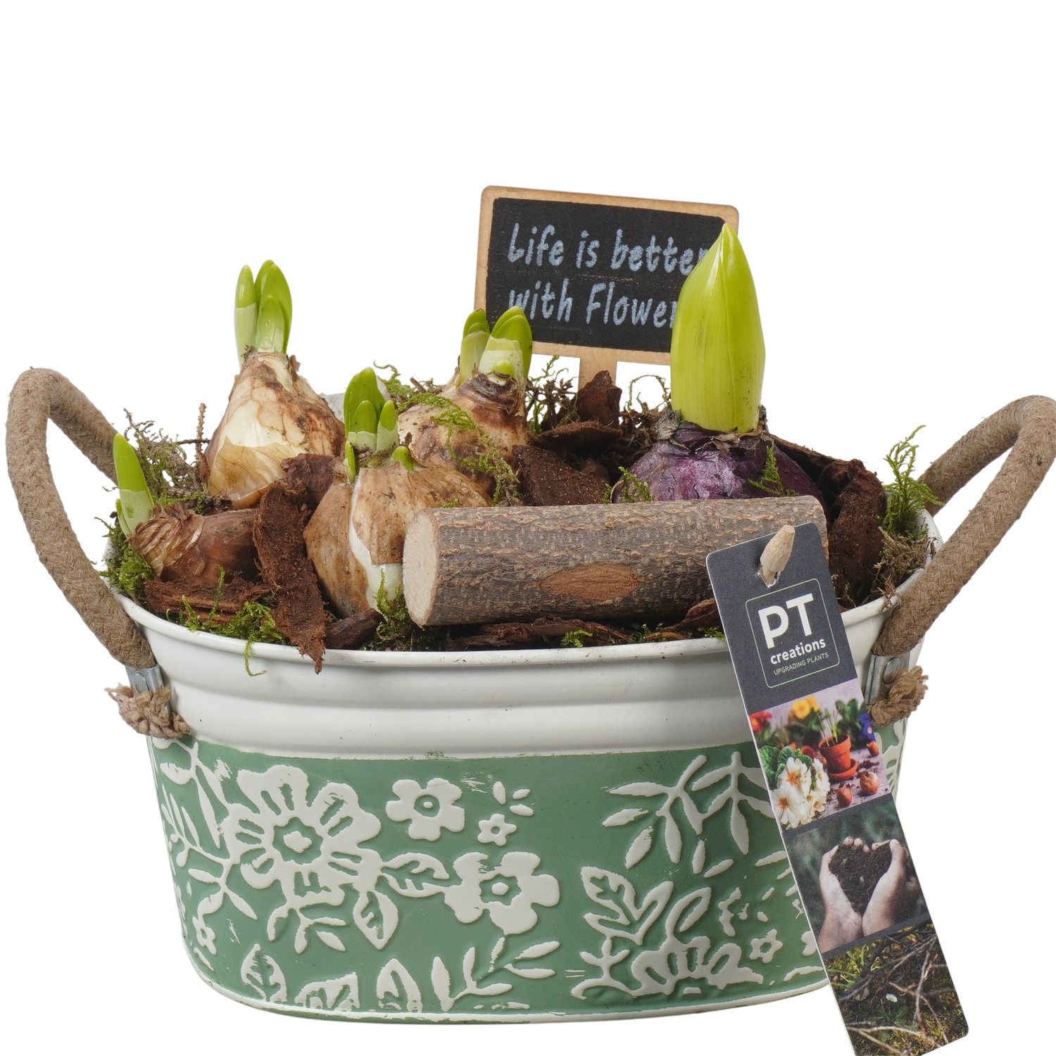 PTBM3754 Arrangement Flower Bulbs Mix in metalen pot, D 18