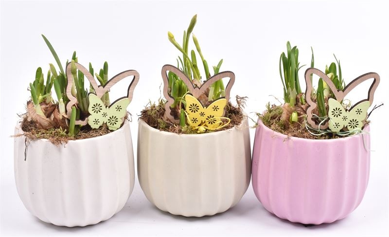 Keramiek pot kleur mix 14cm, D 14