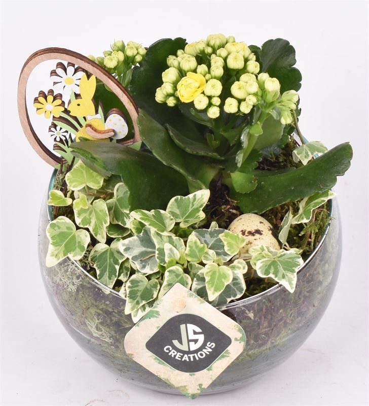 Glas bol schaal schuine top 15cm, D 15