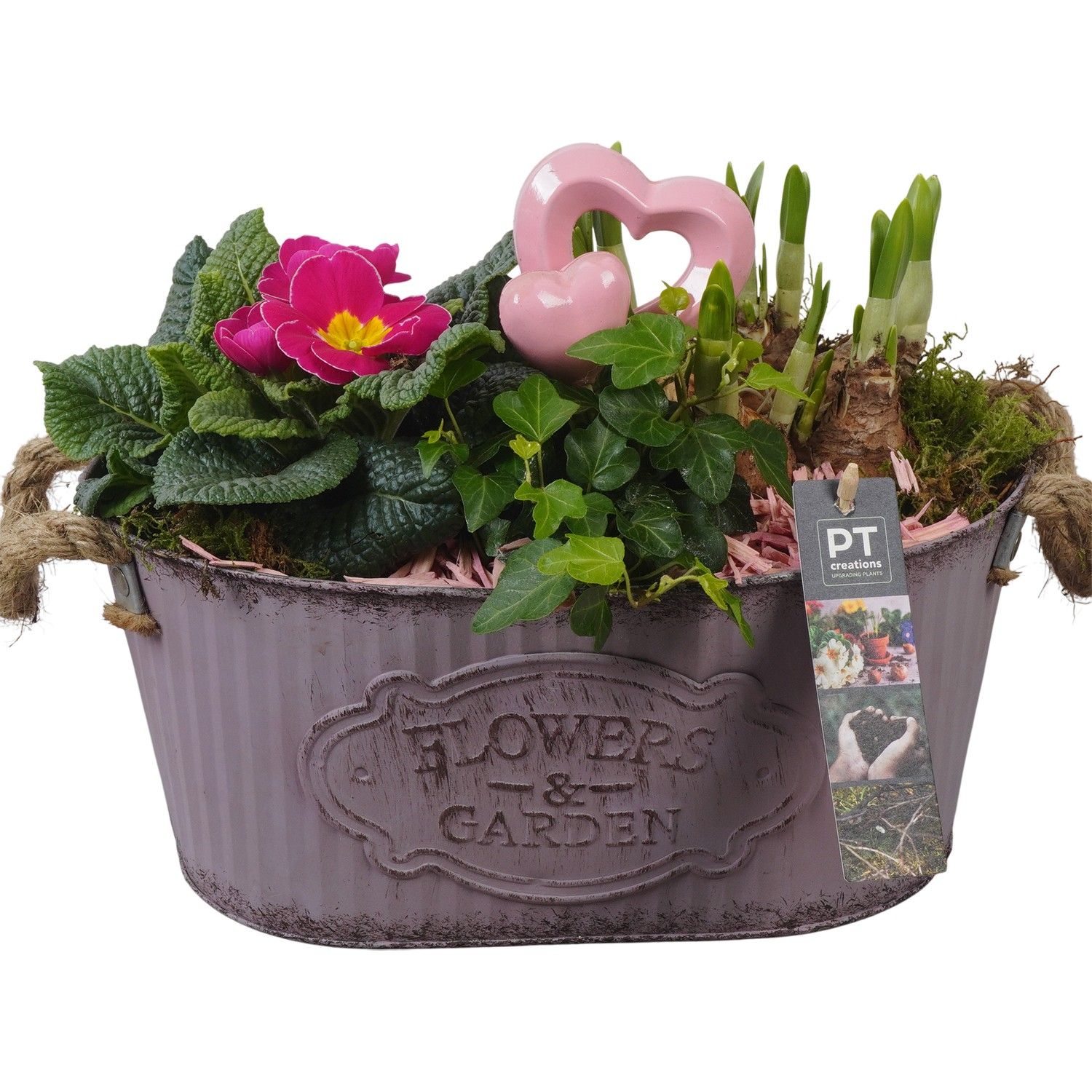 PTVO3609 Arrangement Valentine Outdoor in metalen schaal, D 28