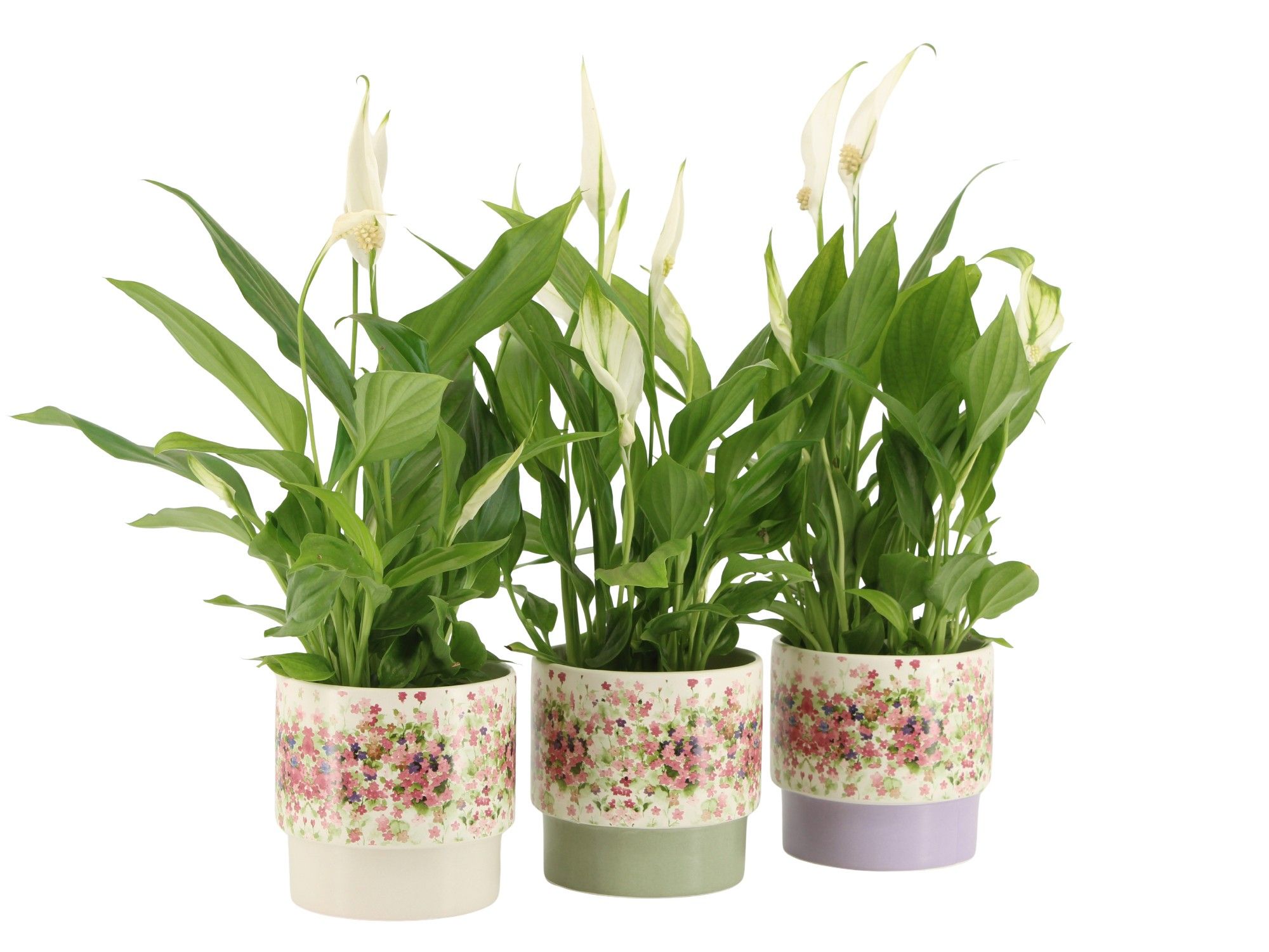 7501377: Solutionss Consideration, D 9