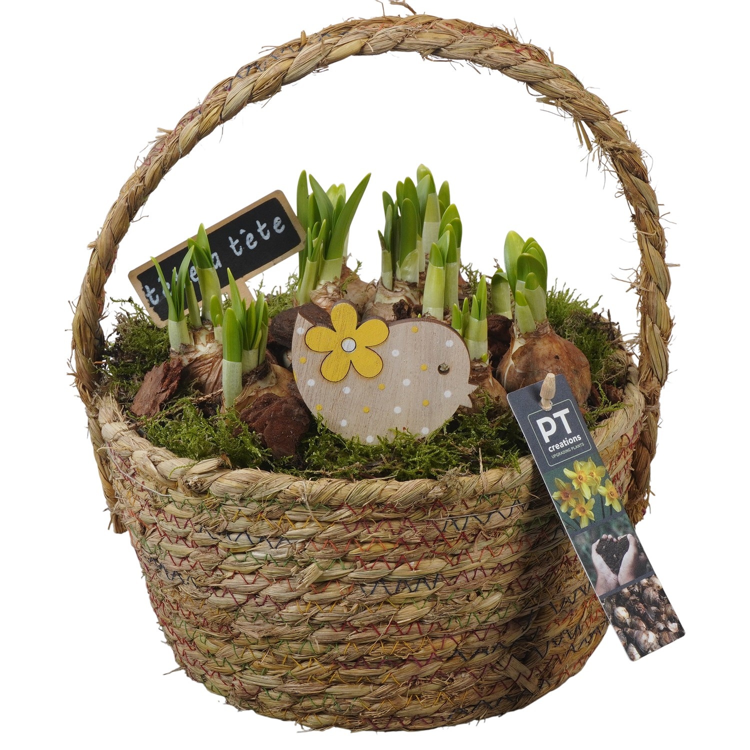 PTN8607 Arrangement Narcissus in rieten mand, D 22