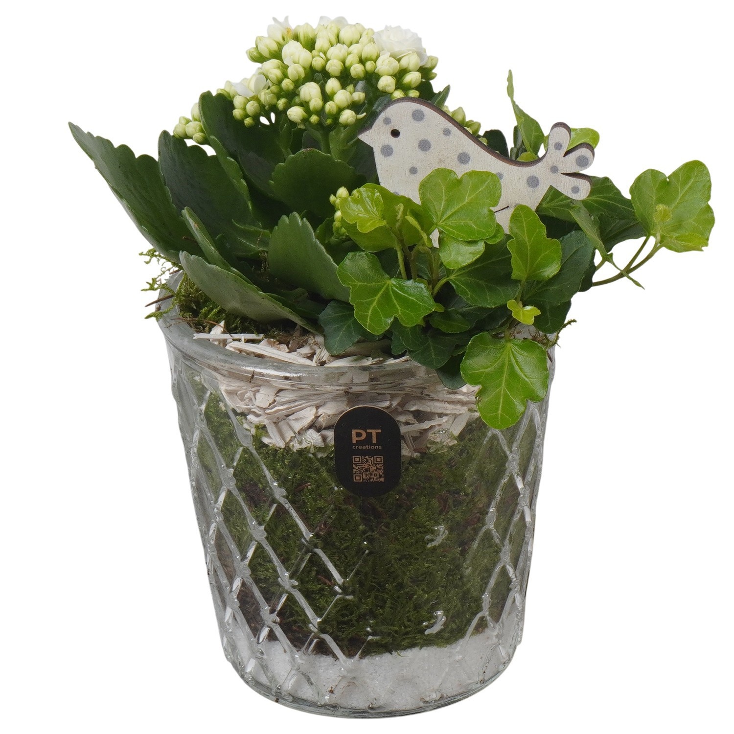 PTIG2685 Arrangement Indoor in glazen vaas, D 12