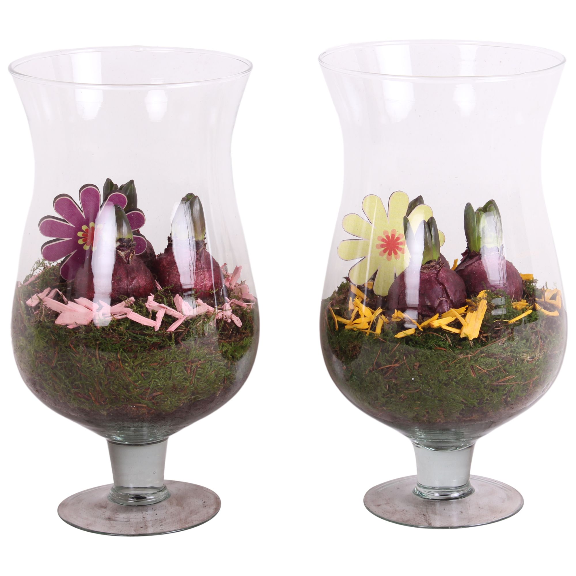 Bulbs Arr. Hyacint Glass Cognac Ø17cm 3PP, D 17