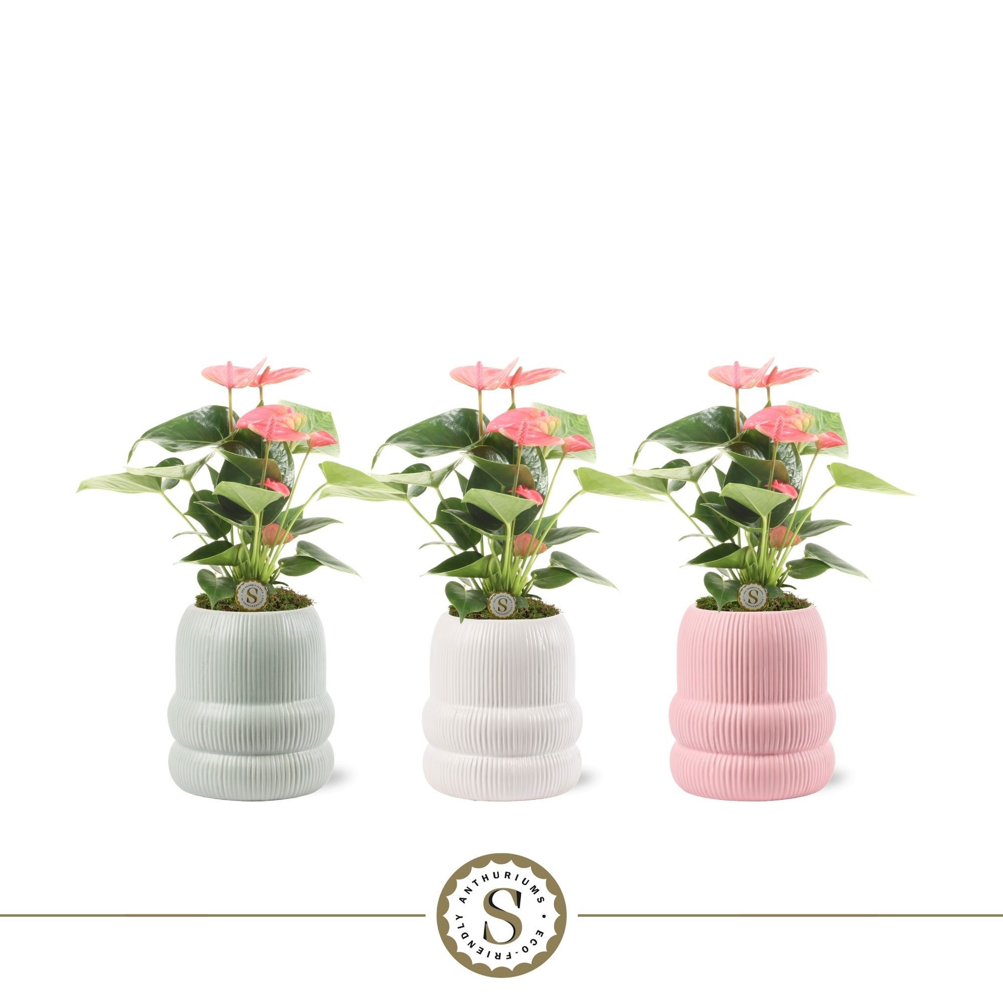 Helsinki Keramiek Pink, D 9