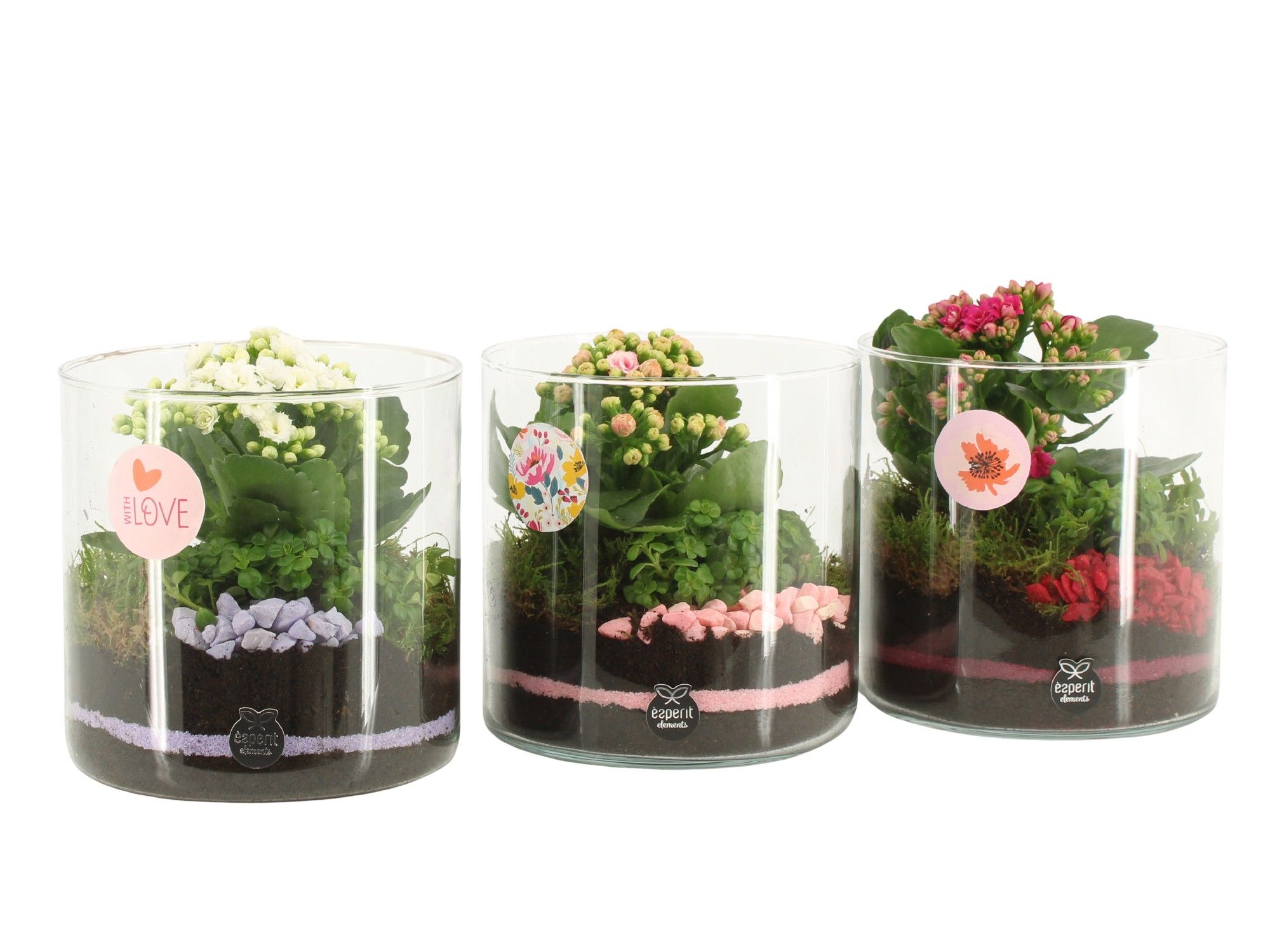 21873: Lovess arrangement, D 15