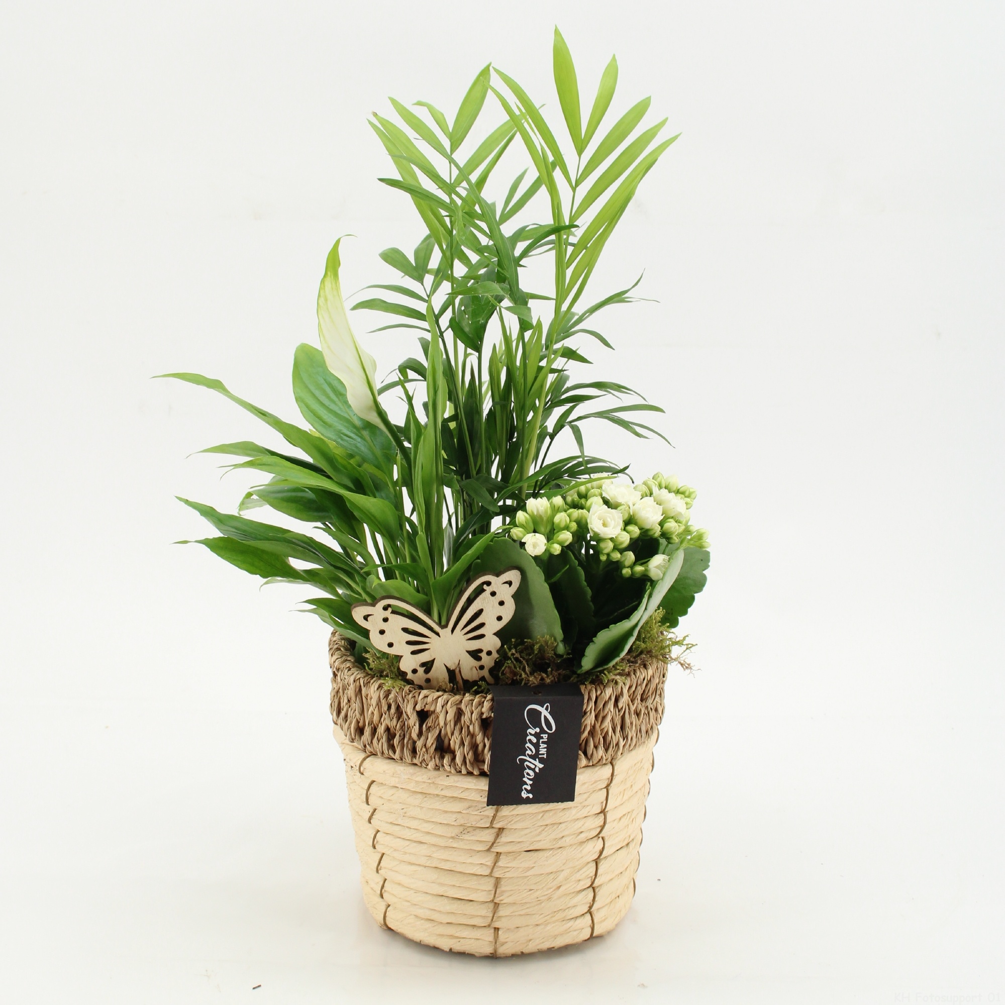 ESCR-2611W Essentials, D 16