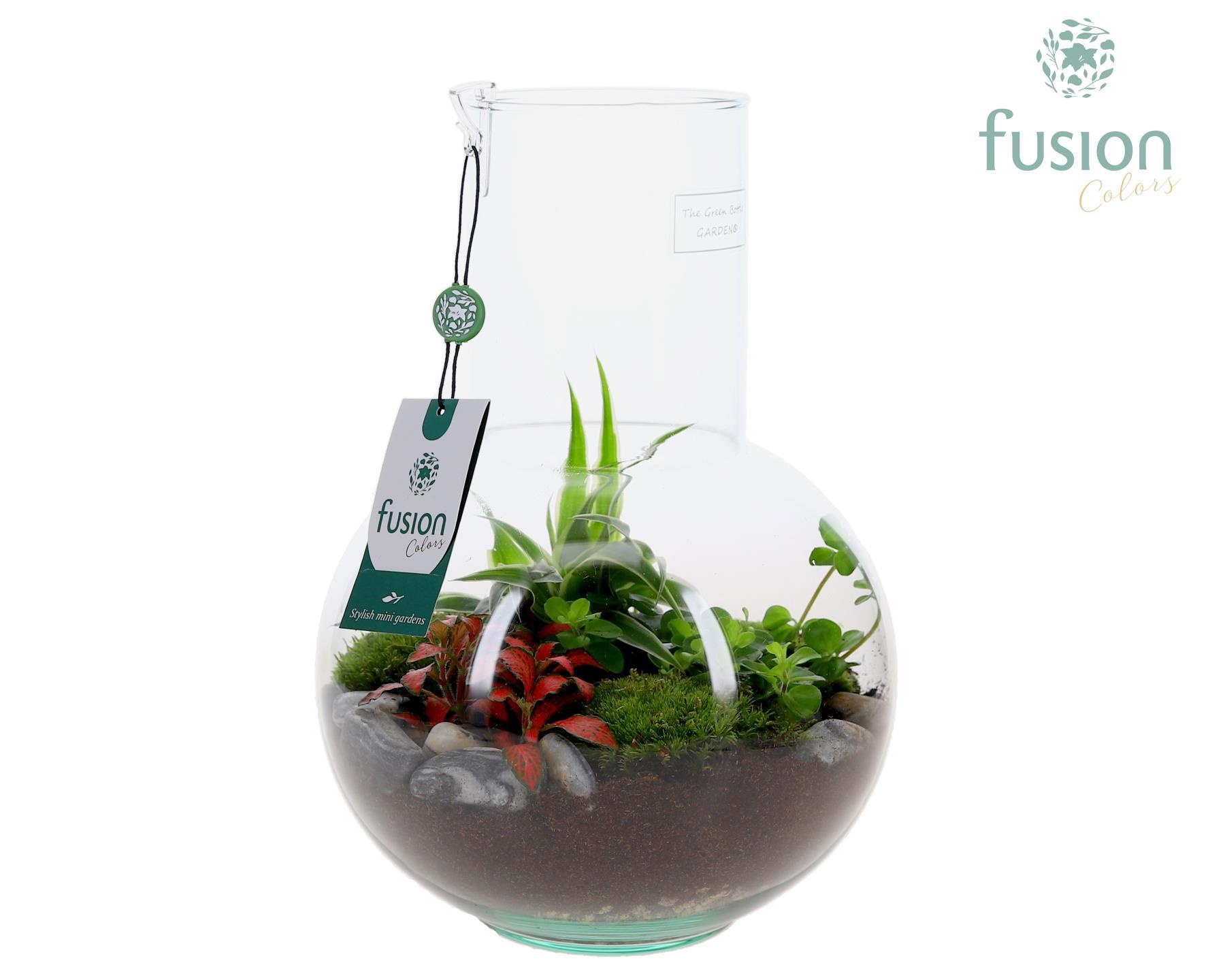 Green Bottle Suzanne Medium met arrangement, D 21