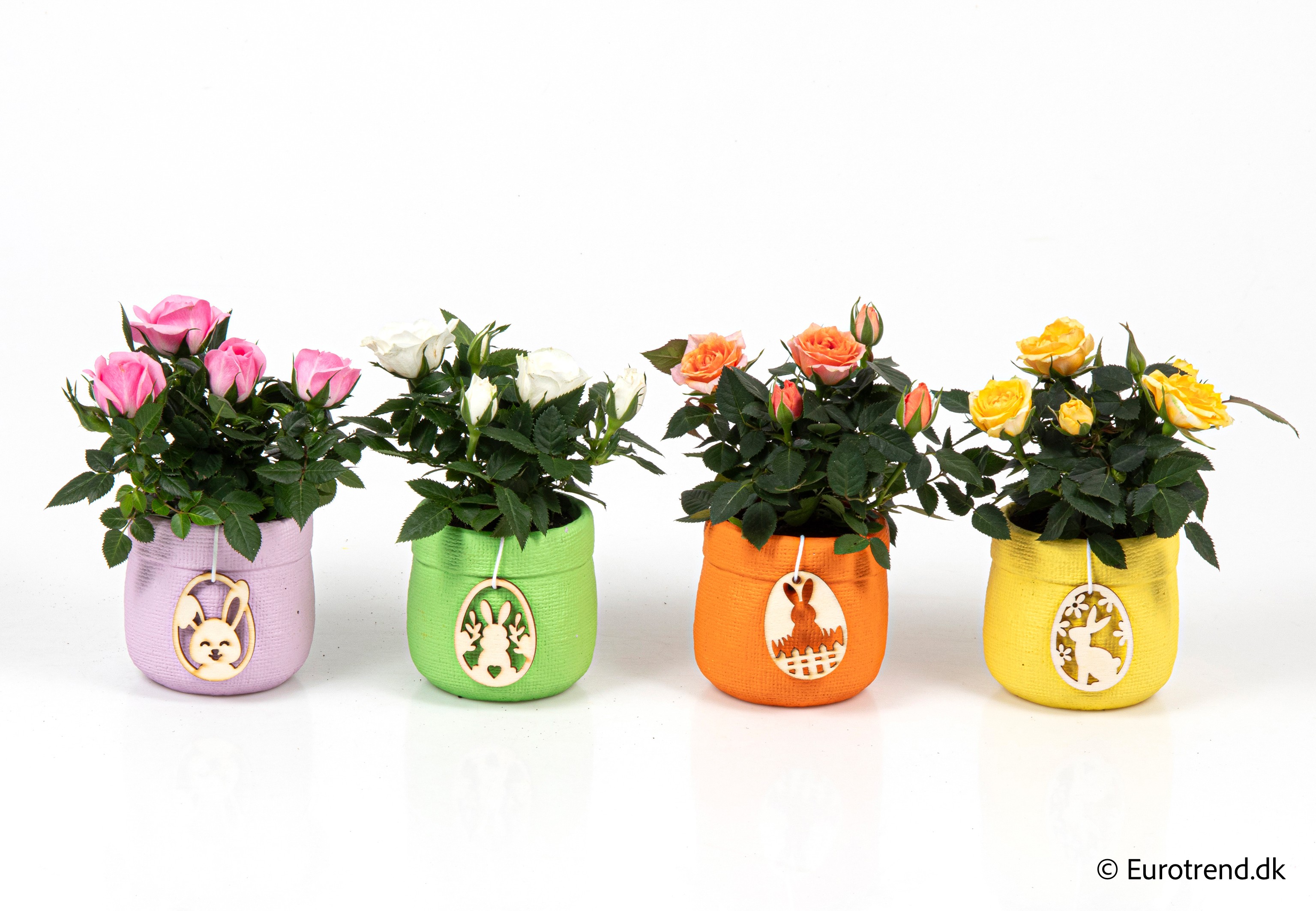 Roses in Easter ceramic 2026, D 6