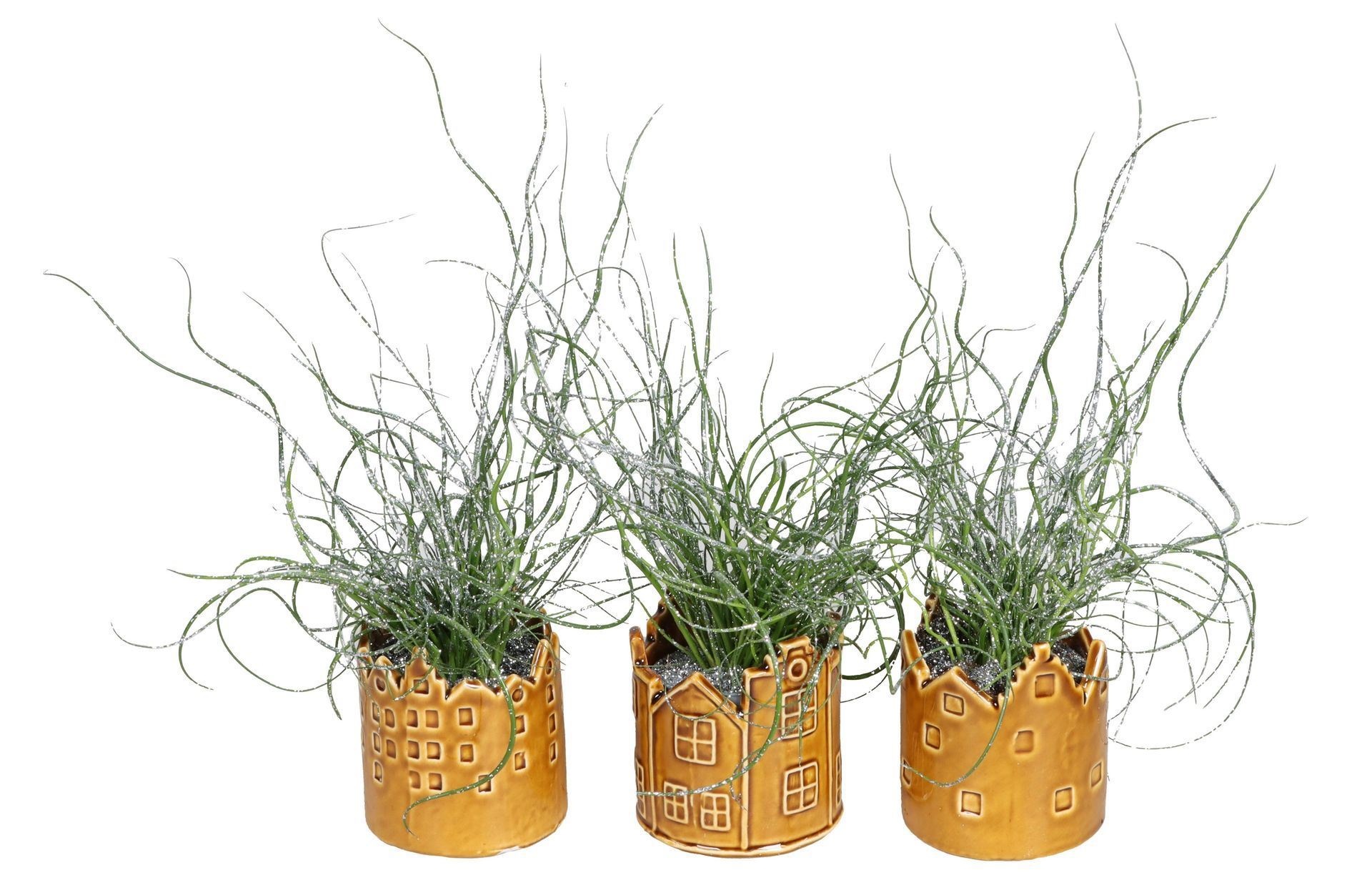 L 67450 With Juncus 'Spiralis' Glitter 6 cm, D 6