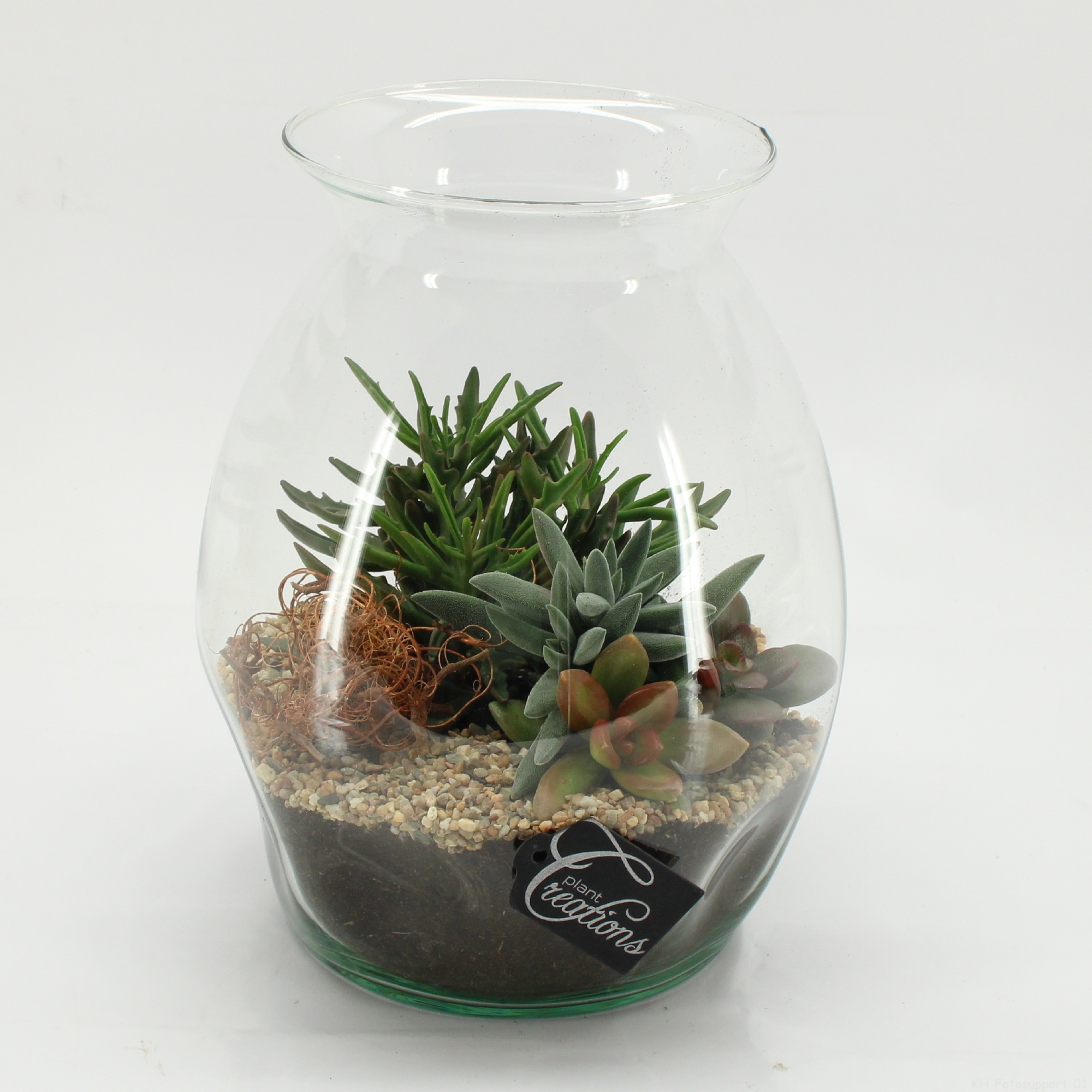 SUCR-2606 Succulent Essentials terrarium, D 22