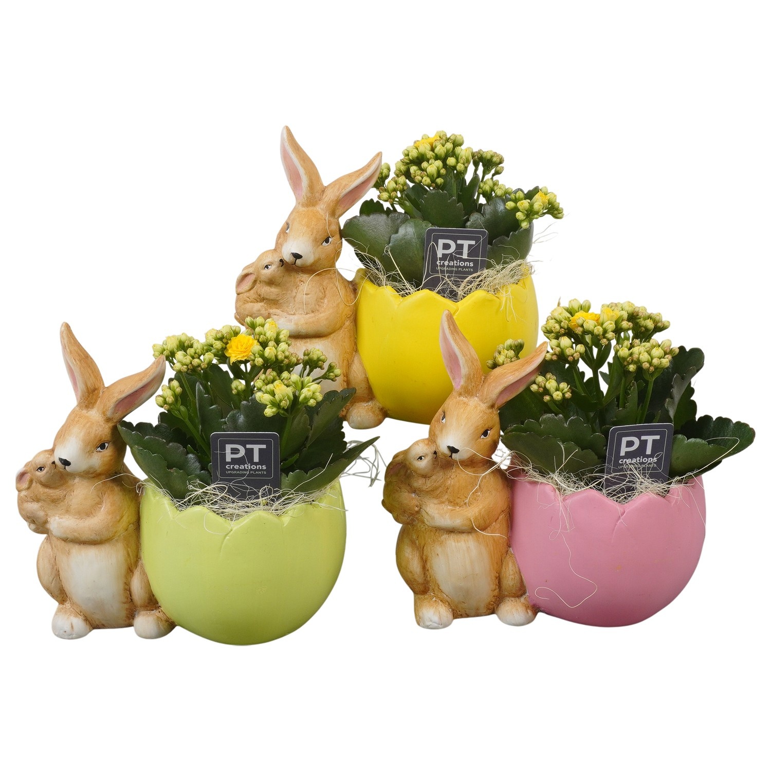 PTPB6496 Arrangement Easter in keramiek pot, D 18