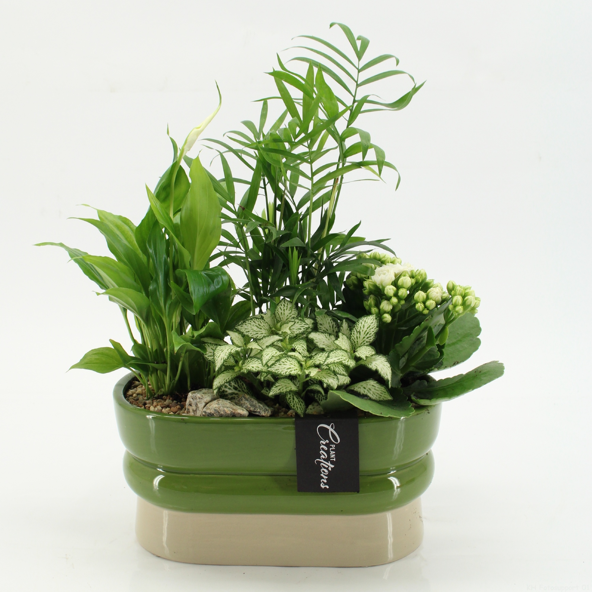 ESCR-2620W Essentials, D 23