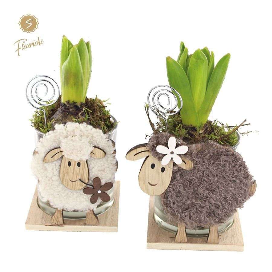 (1917) Hyacint Woolen Sheep 1PP Mos, D 10