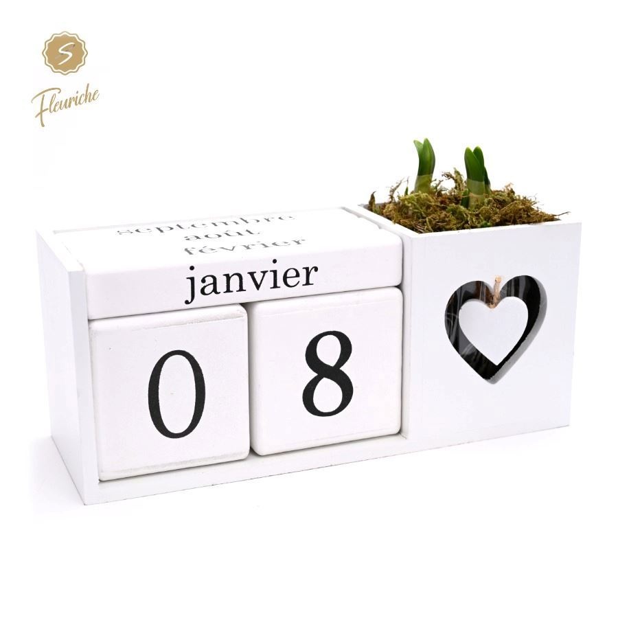 (1916) Narcissus Calender White 1PP Mos, D 11