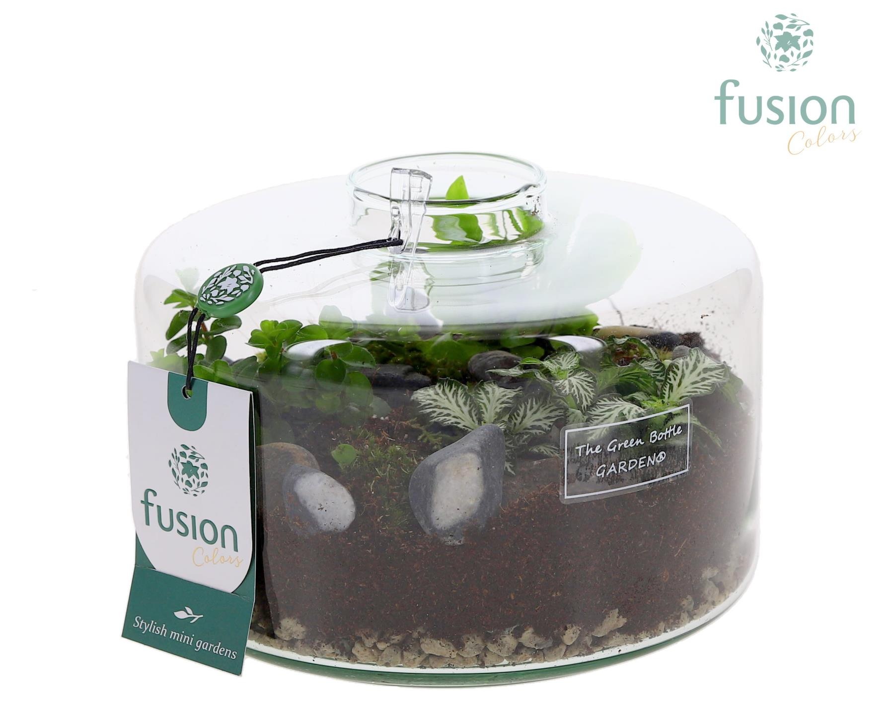 Green Bottle Kyra Medium met arrangement, D 19