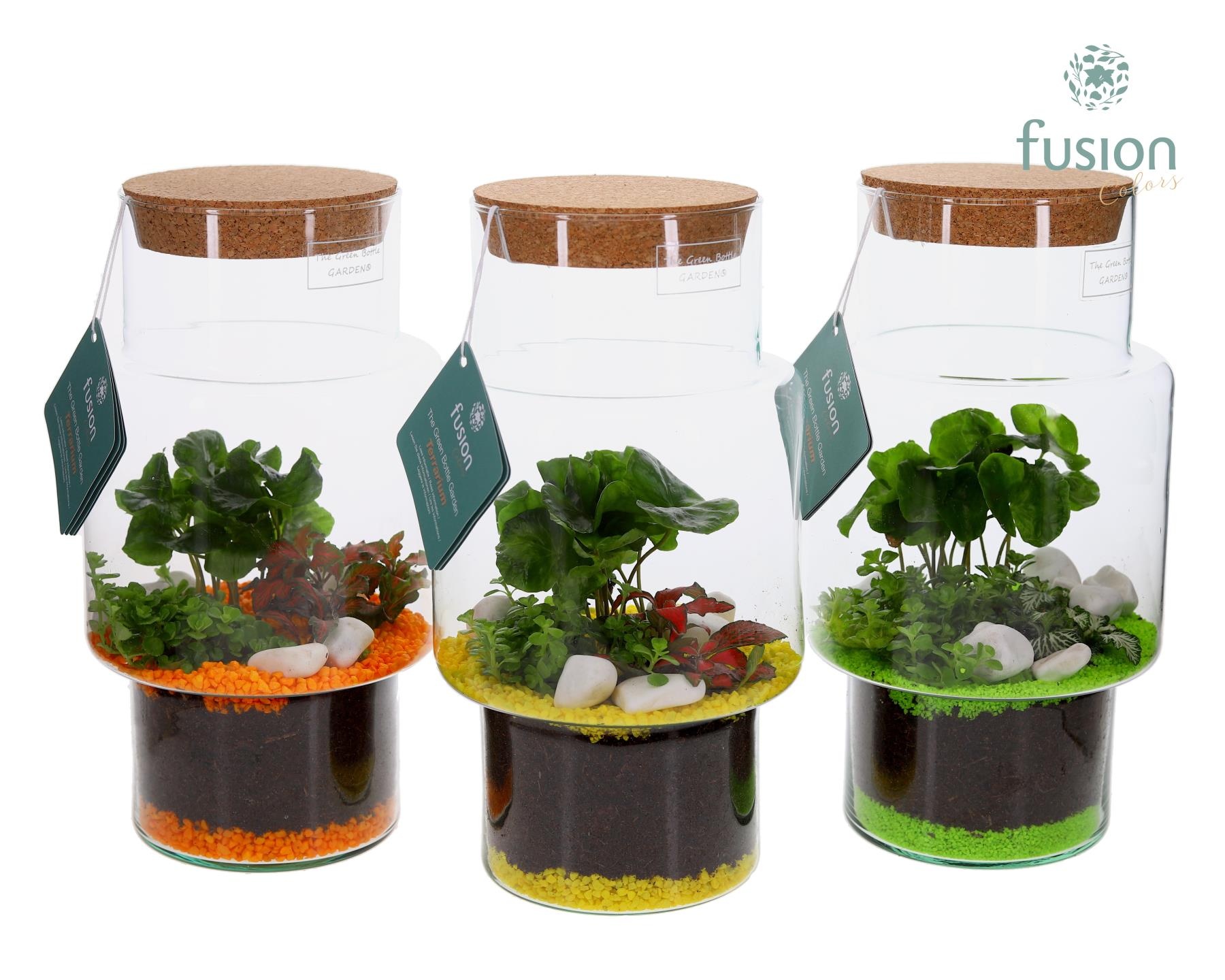 Green Bottle Sara Medium met Terrarium Arrangement, D 16