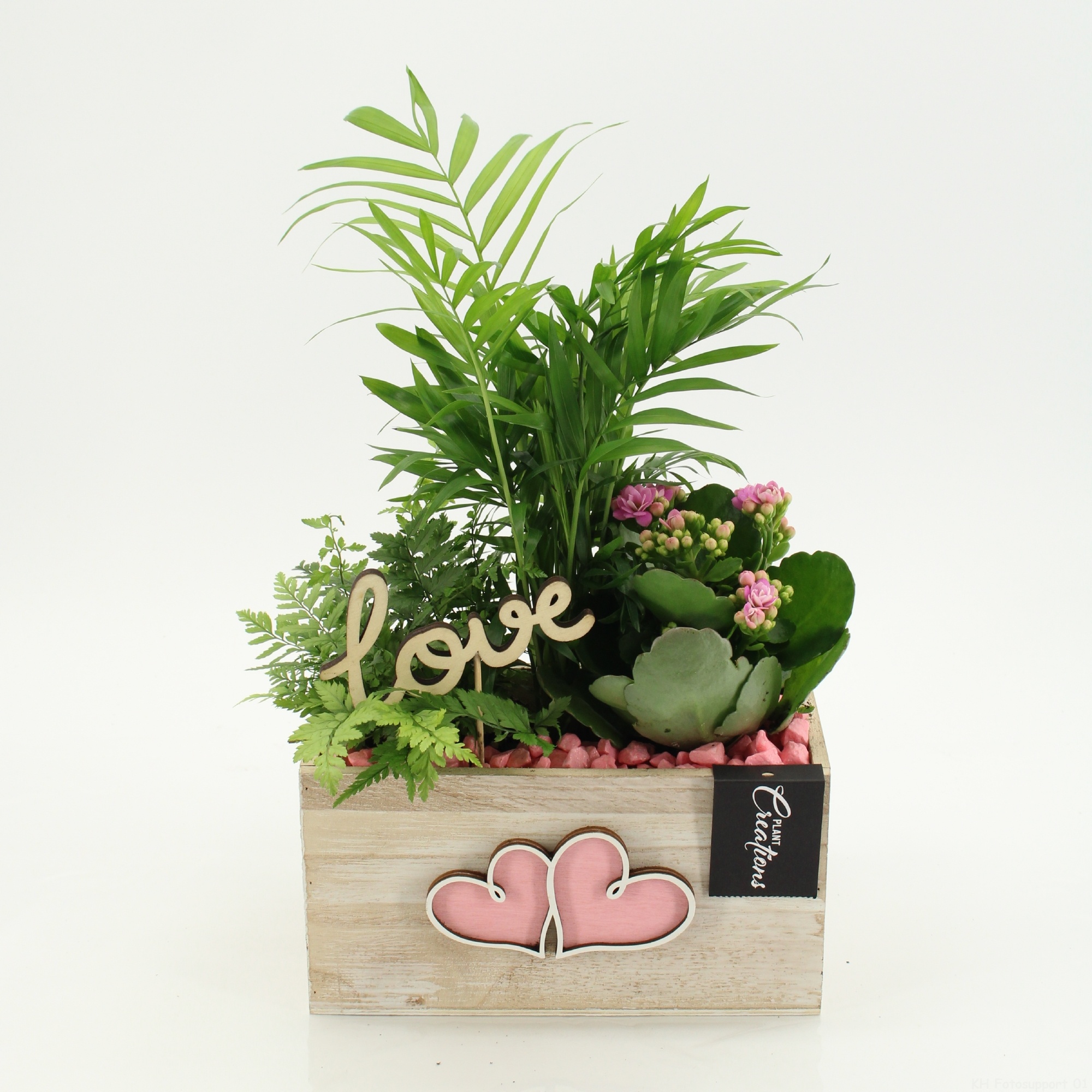 RMCR-2623RZ Romantic Essentials, D 20