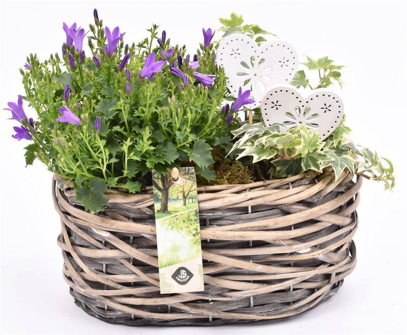 Wilg mand ovaal girjs 22x13cm2, D 22