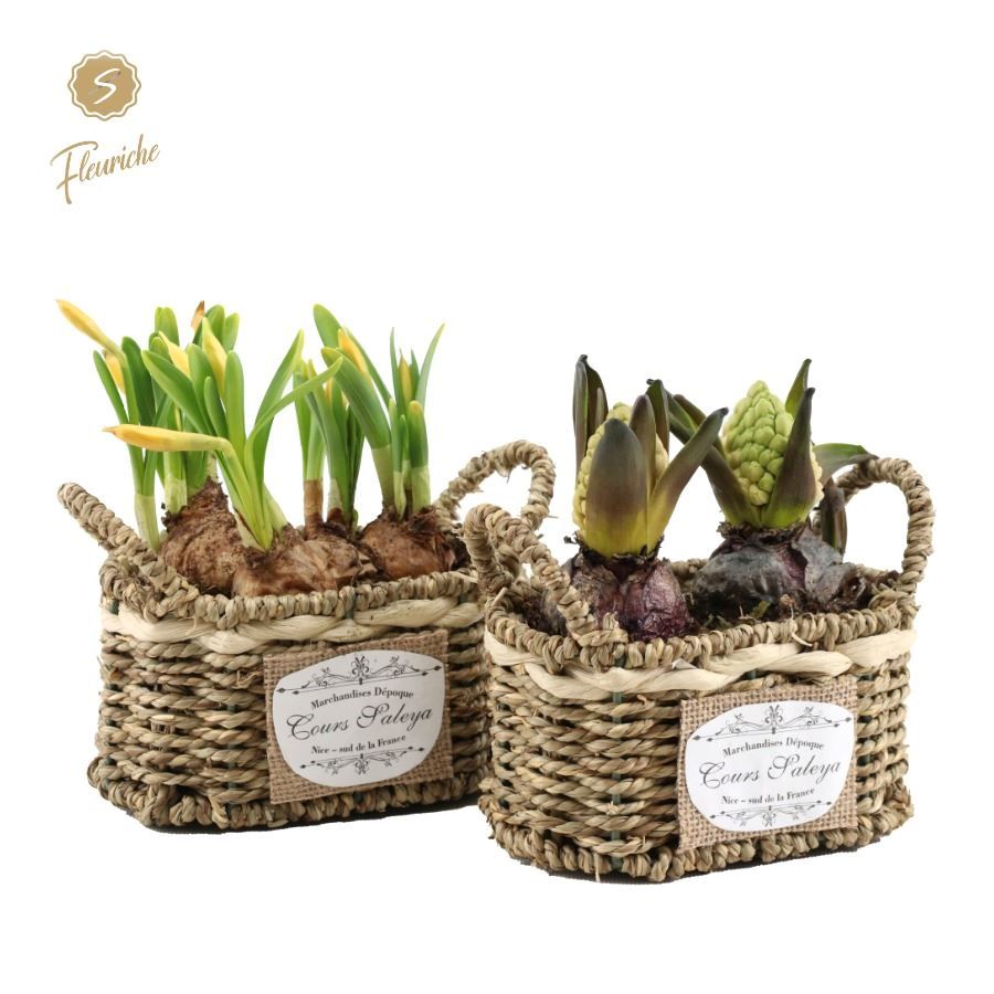 (2400) Hyacint Seagrass Basket 2PP, D 16