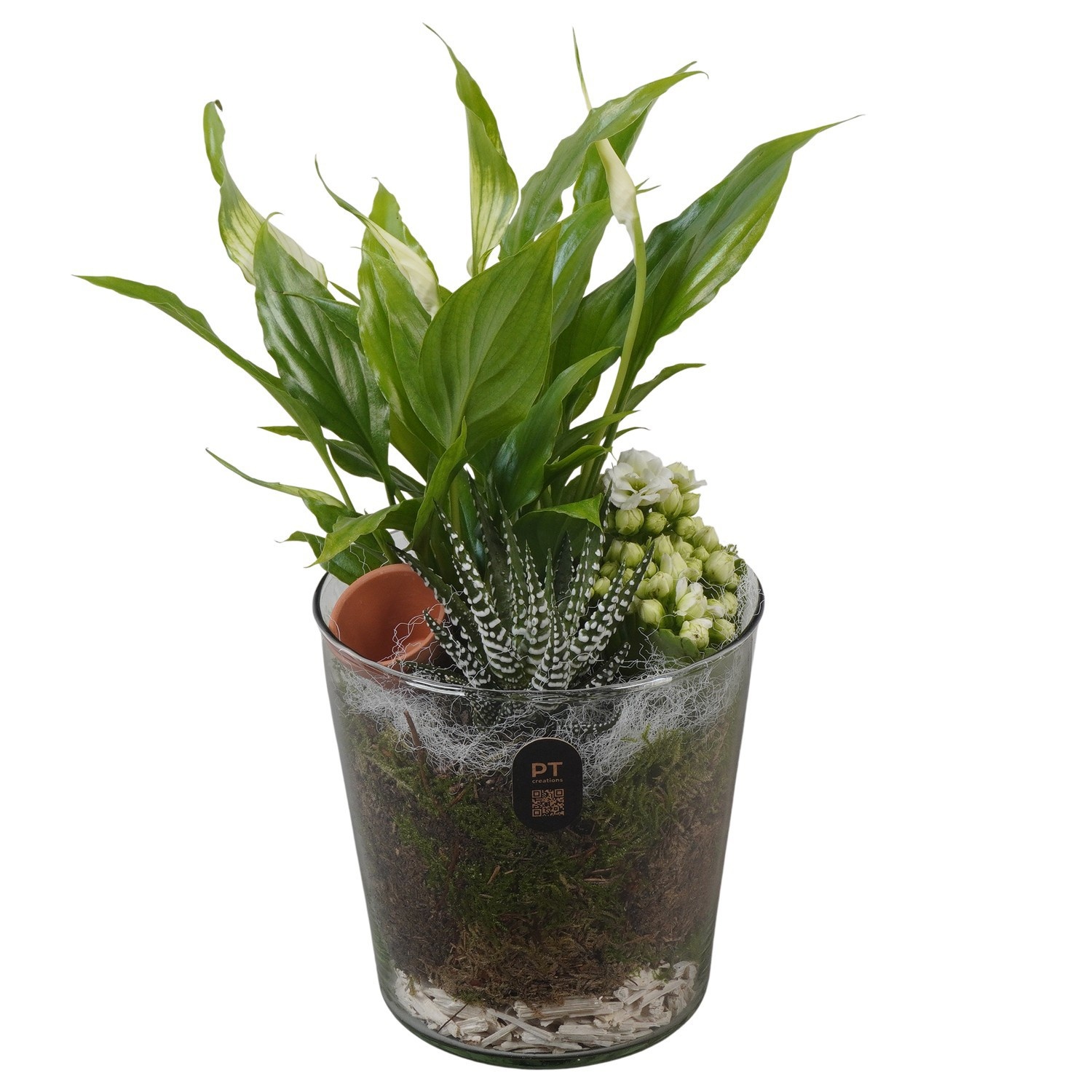 PTIG2634 Arrangement Indoor in glazen vaas, D 13