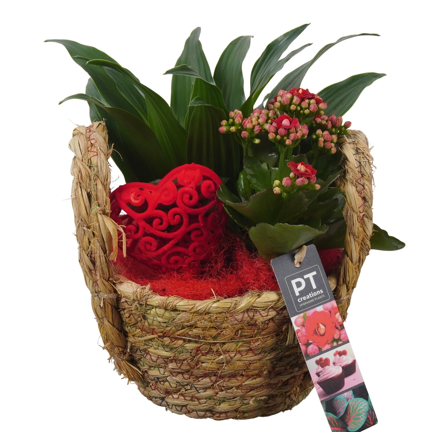PTVMB2341 Arrangement Valentines-Mothersday in riet mand, D 15