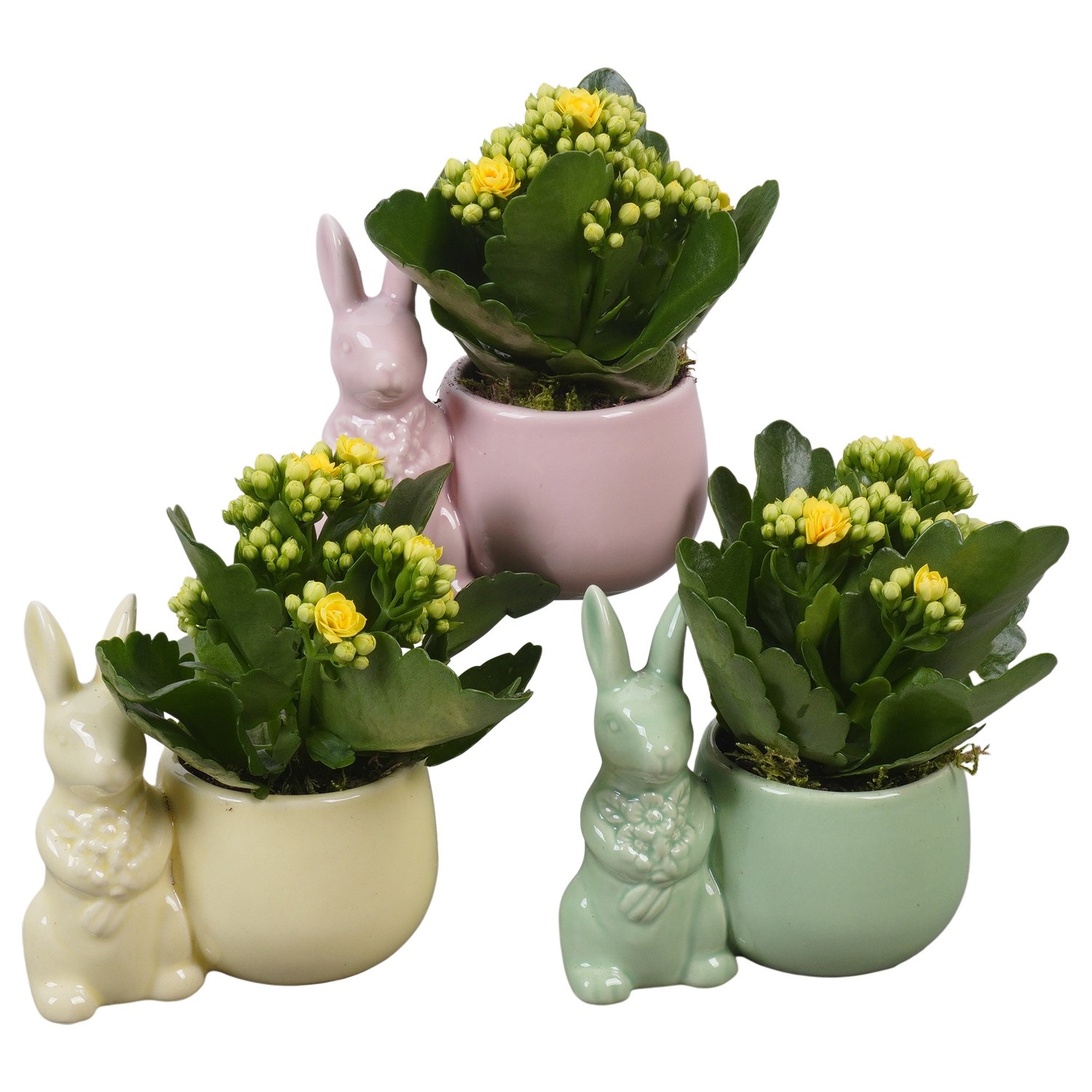 PTPB6622 Arrangement Easter in keramiek konijn, D 12