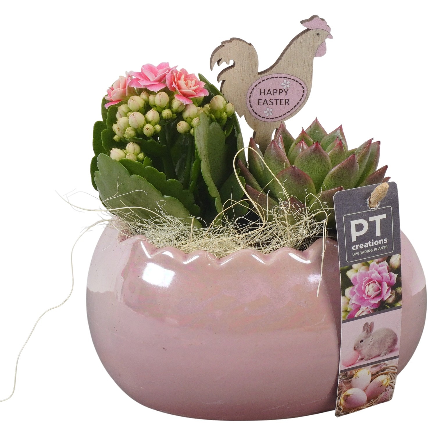 PTPB6486 Arrangement Easter in keramiek ei, D 16