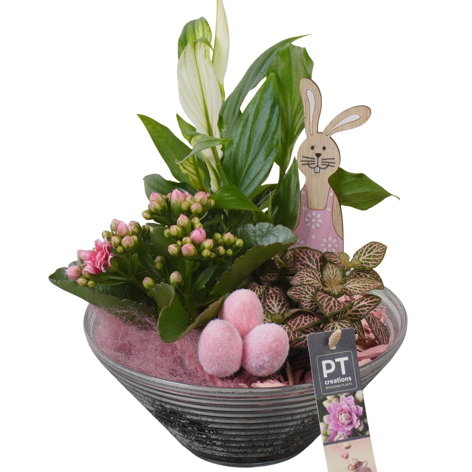 PTPG9355 Arrangement Easter in glasschaal, D 19