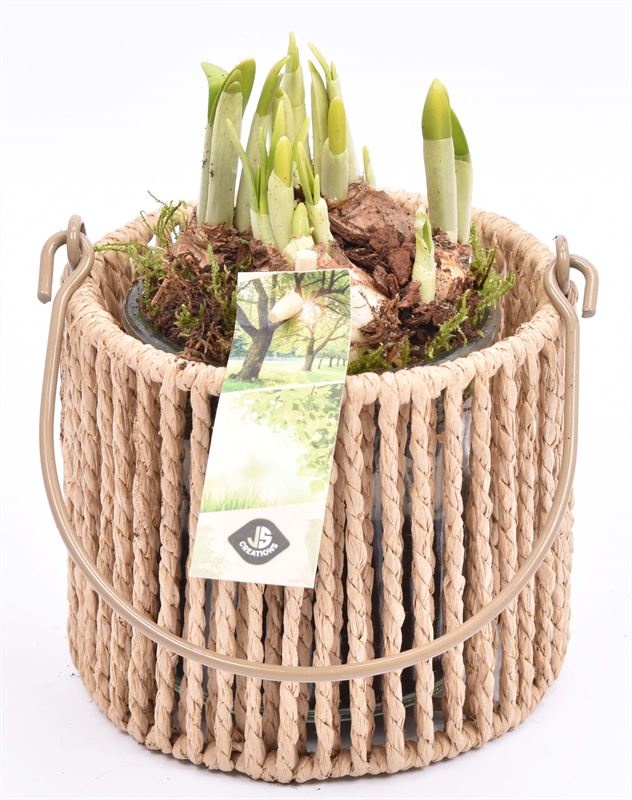 Touw lantaarn met glas 13cm h11.5cm, D 14