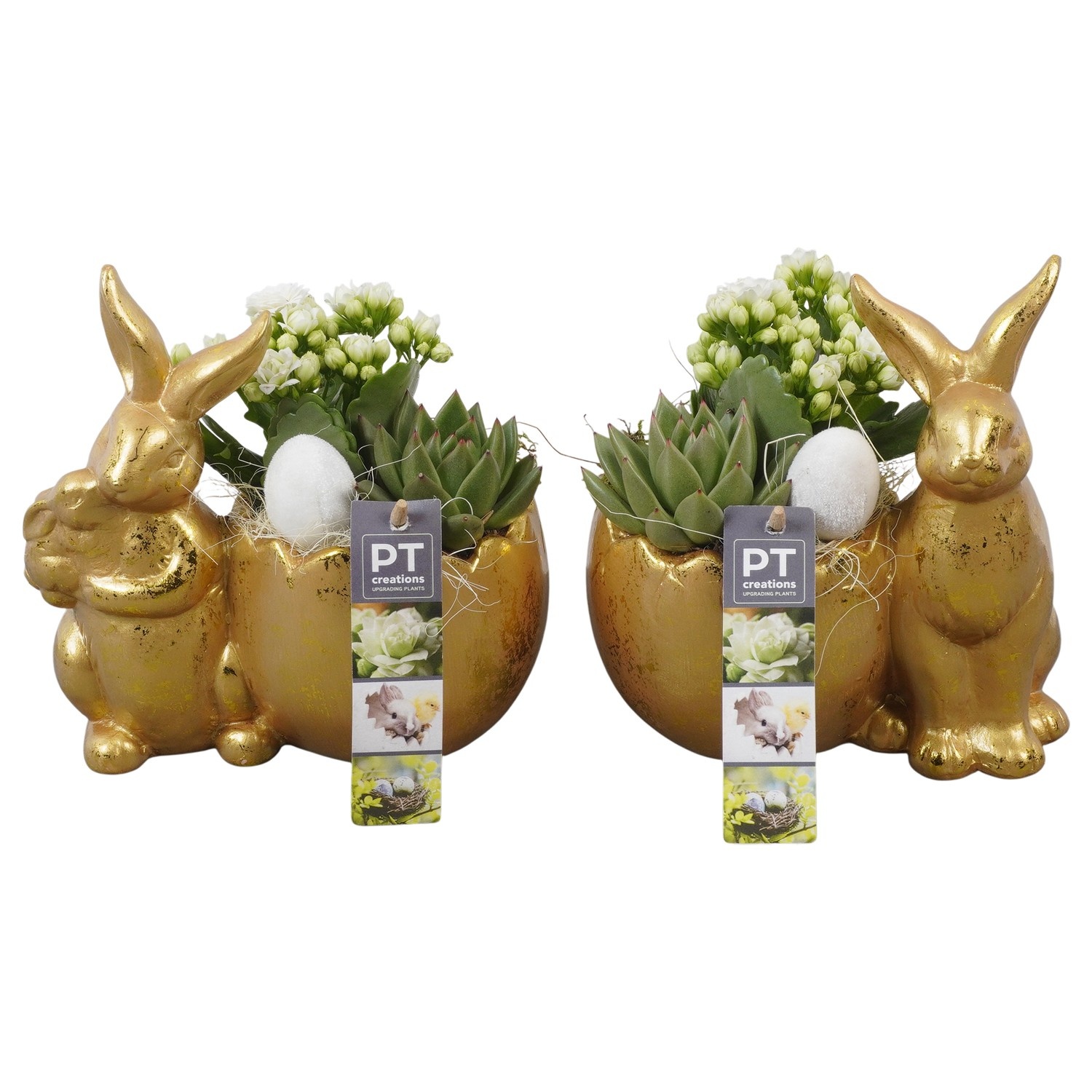 PTPB6503 Arrangement Easter in keramiek pot, D 18