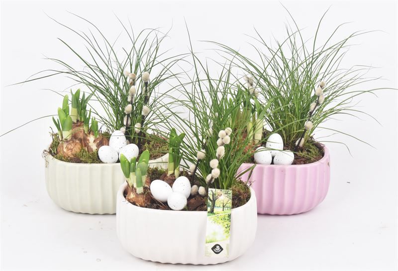 Keramiek ovaal mix kleur 18,5x12cm, D 19