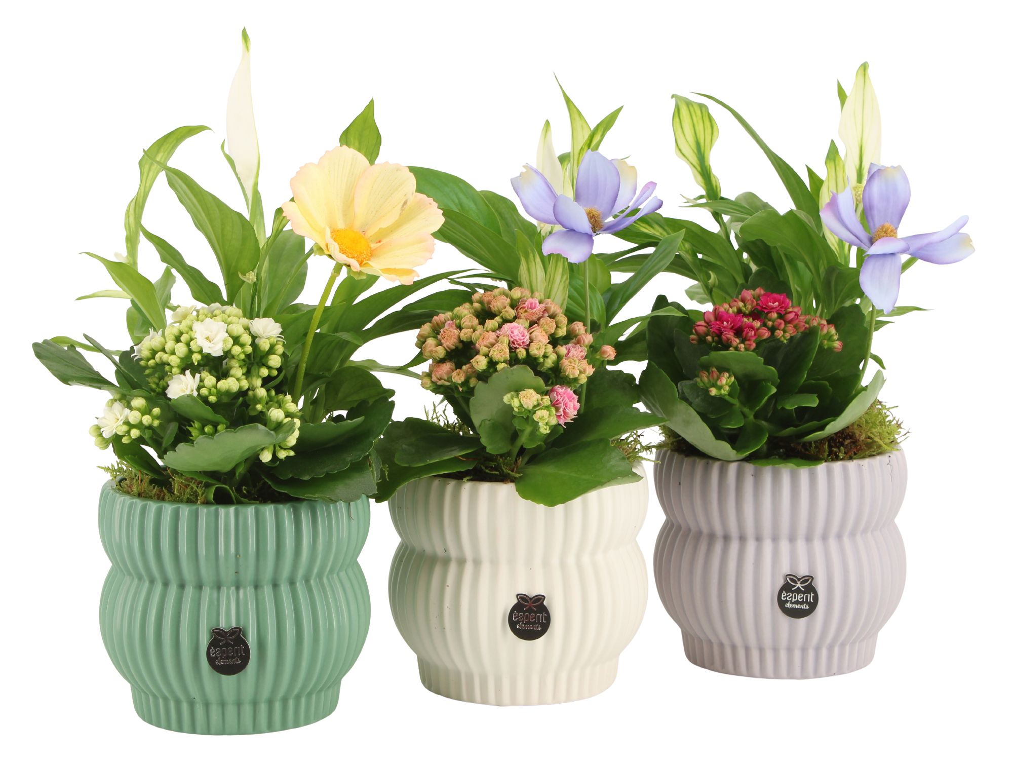 11559: Consideration arrangement, D 12