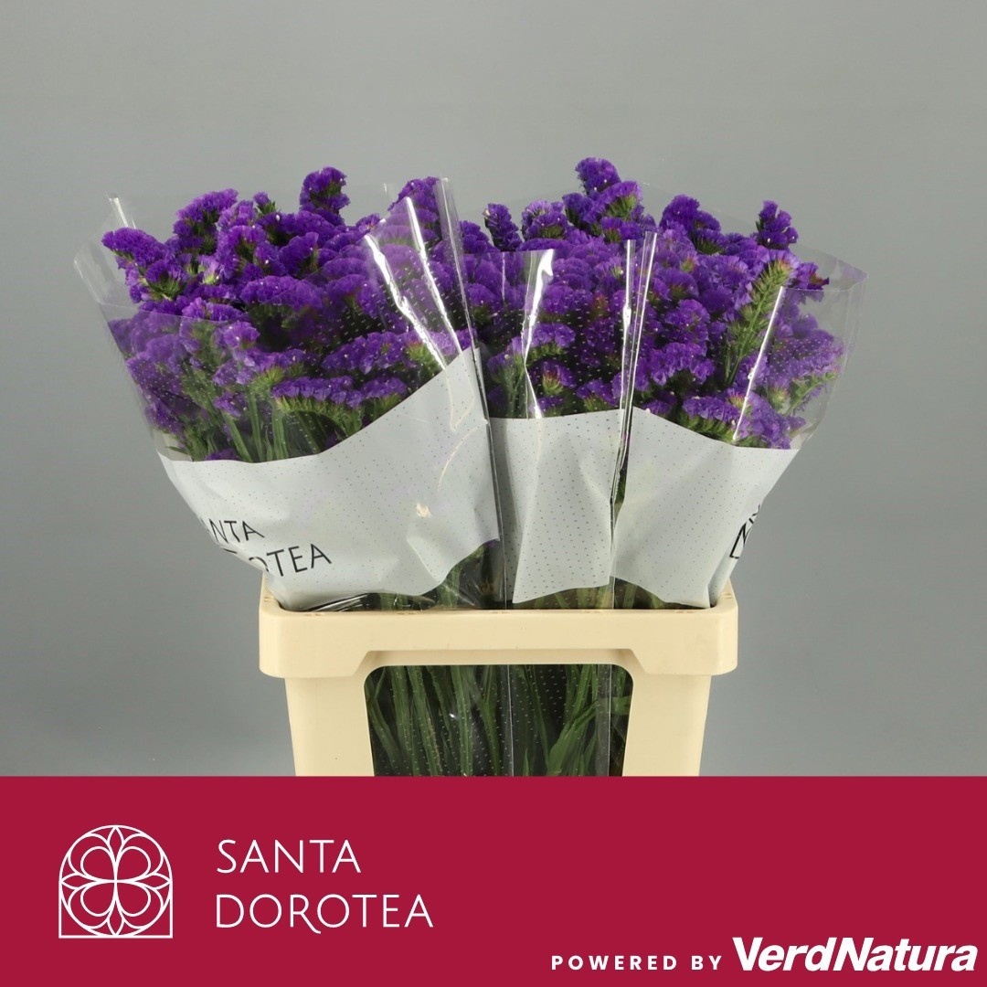 Статица Магнум Блю 70, шт.