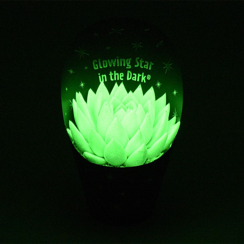 Glowing Star in the Dark®, D 10,5