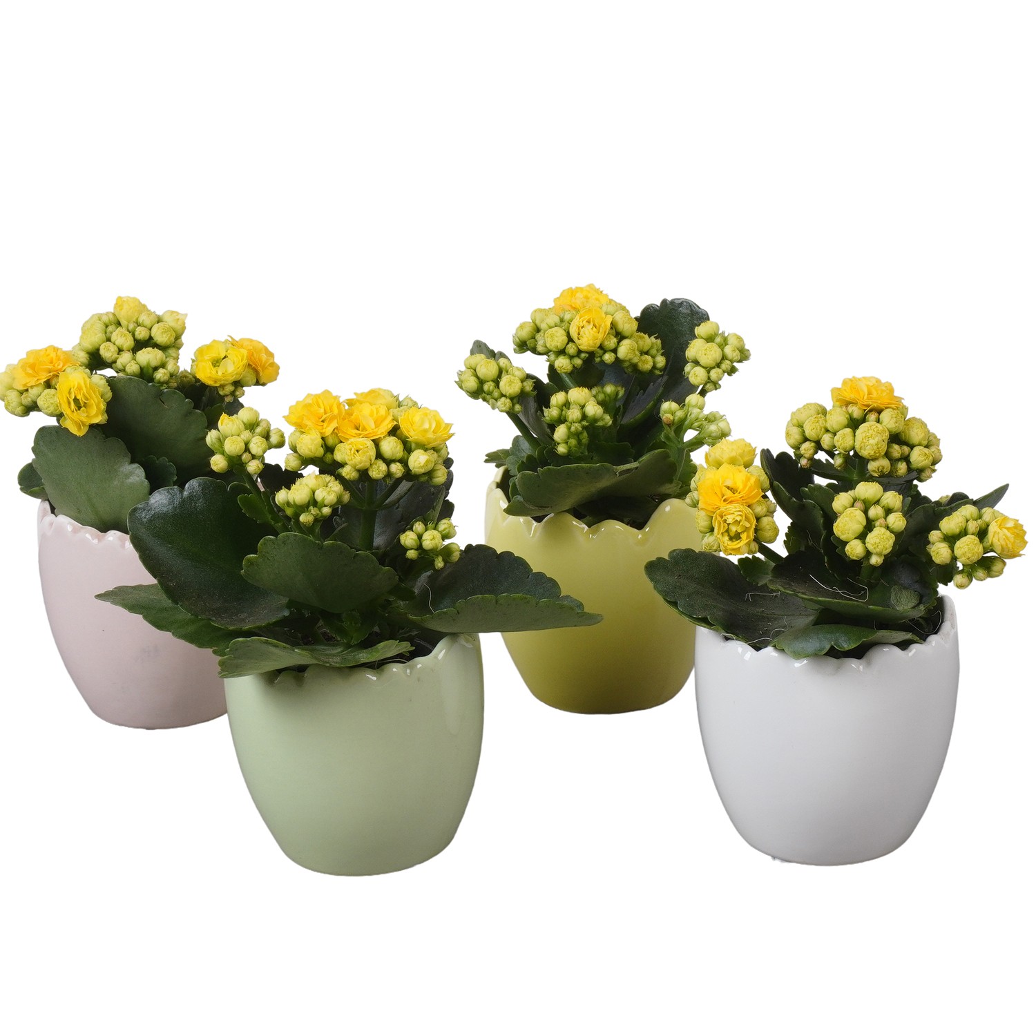 PTPB6487 Arrangement Easter in keramiek ei, D 7