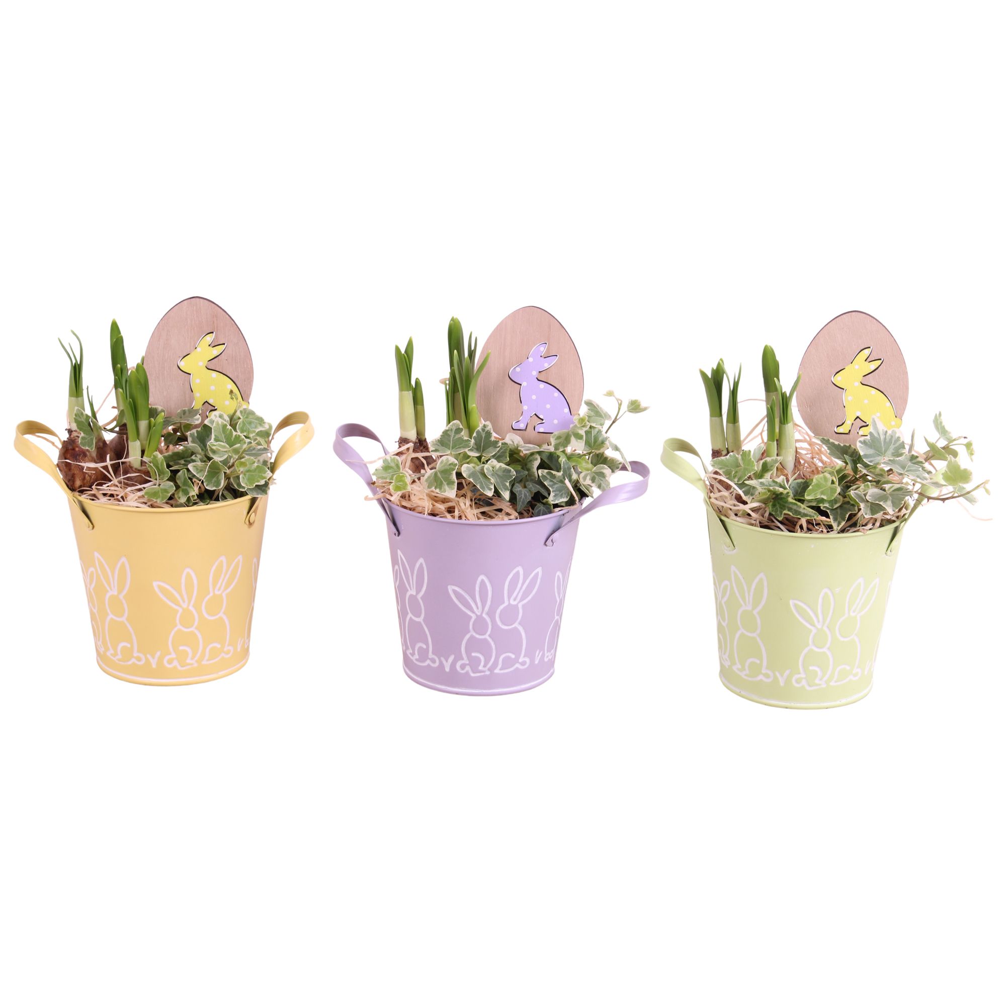 Easter Arr. Narcis Zinc Pot Round Bunny Relief Ø12cm 2PP, D 12