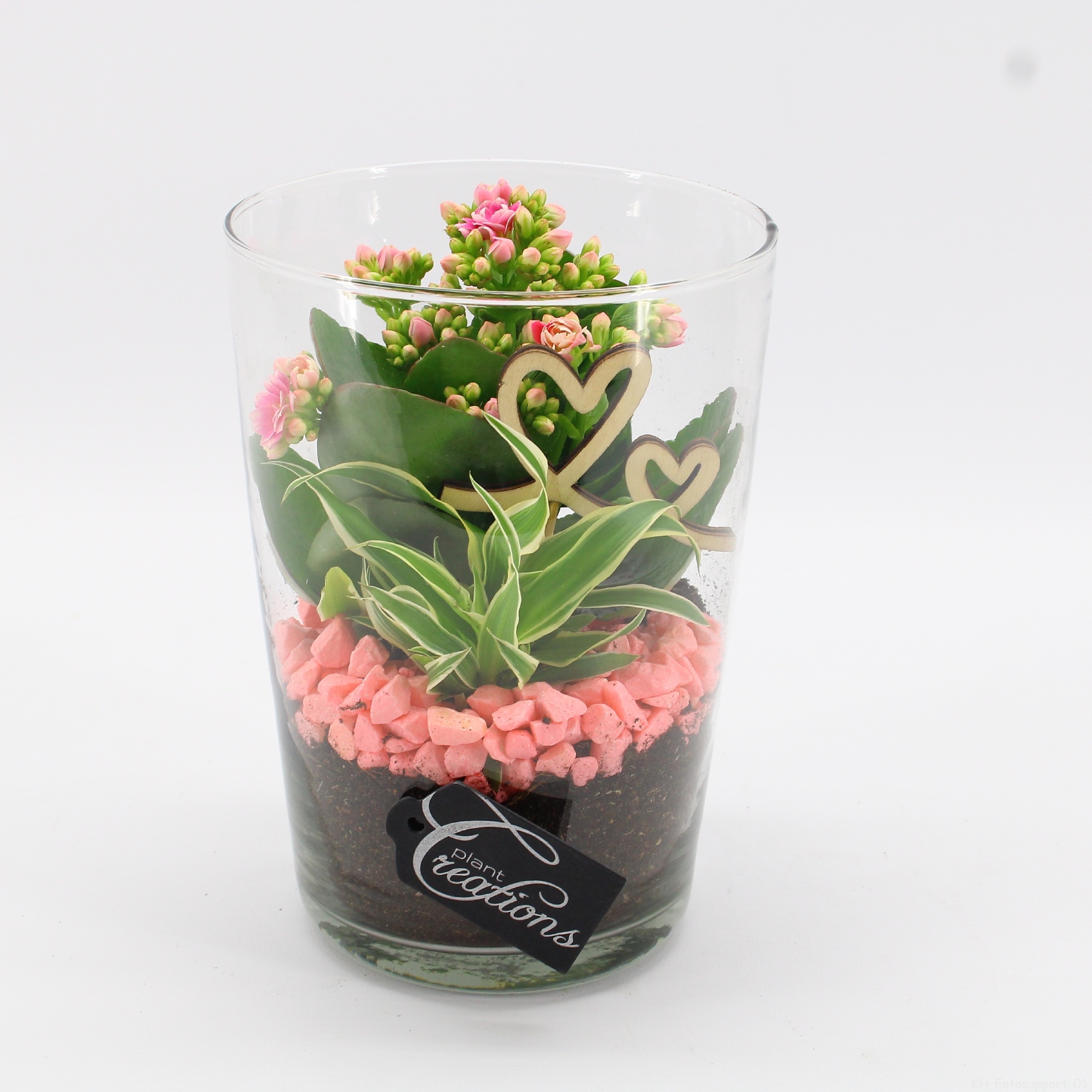 RMCR-2621RZ Romantic Essentials, D 14