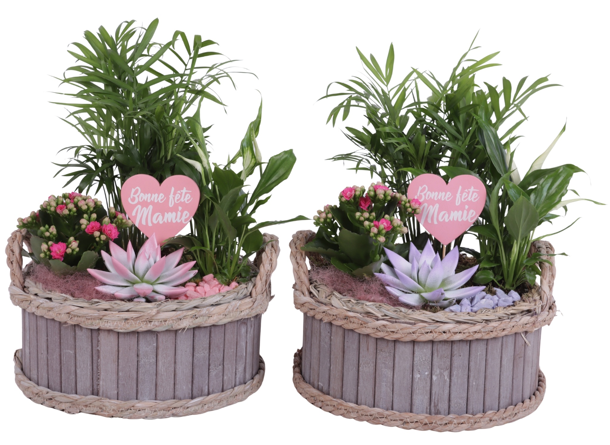 Grandmothers Day Arr. Indoor Wooden Pot Waterhyacinth Rim Ø25cm, D 24